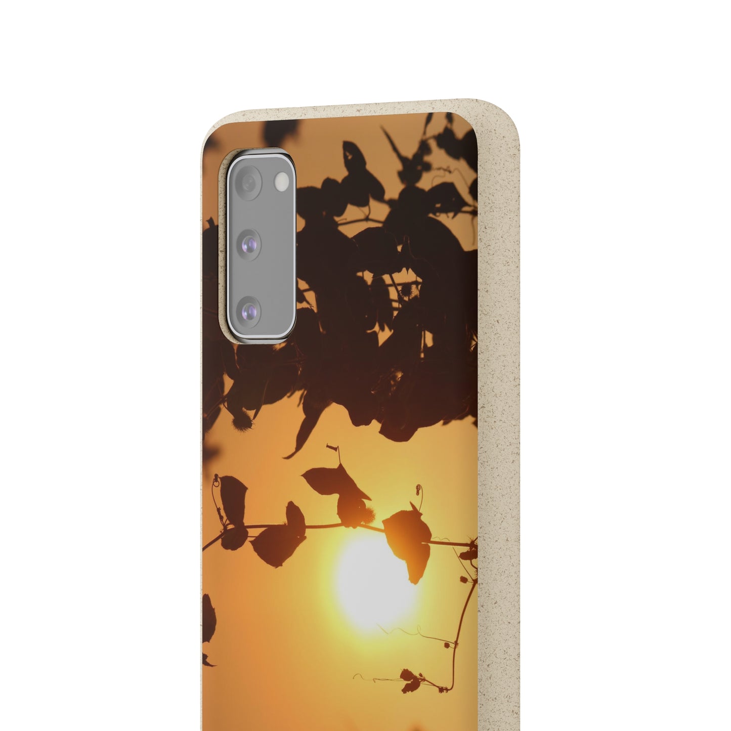 Sunset - Biodegradable Cases