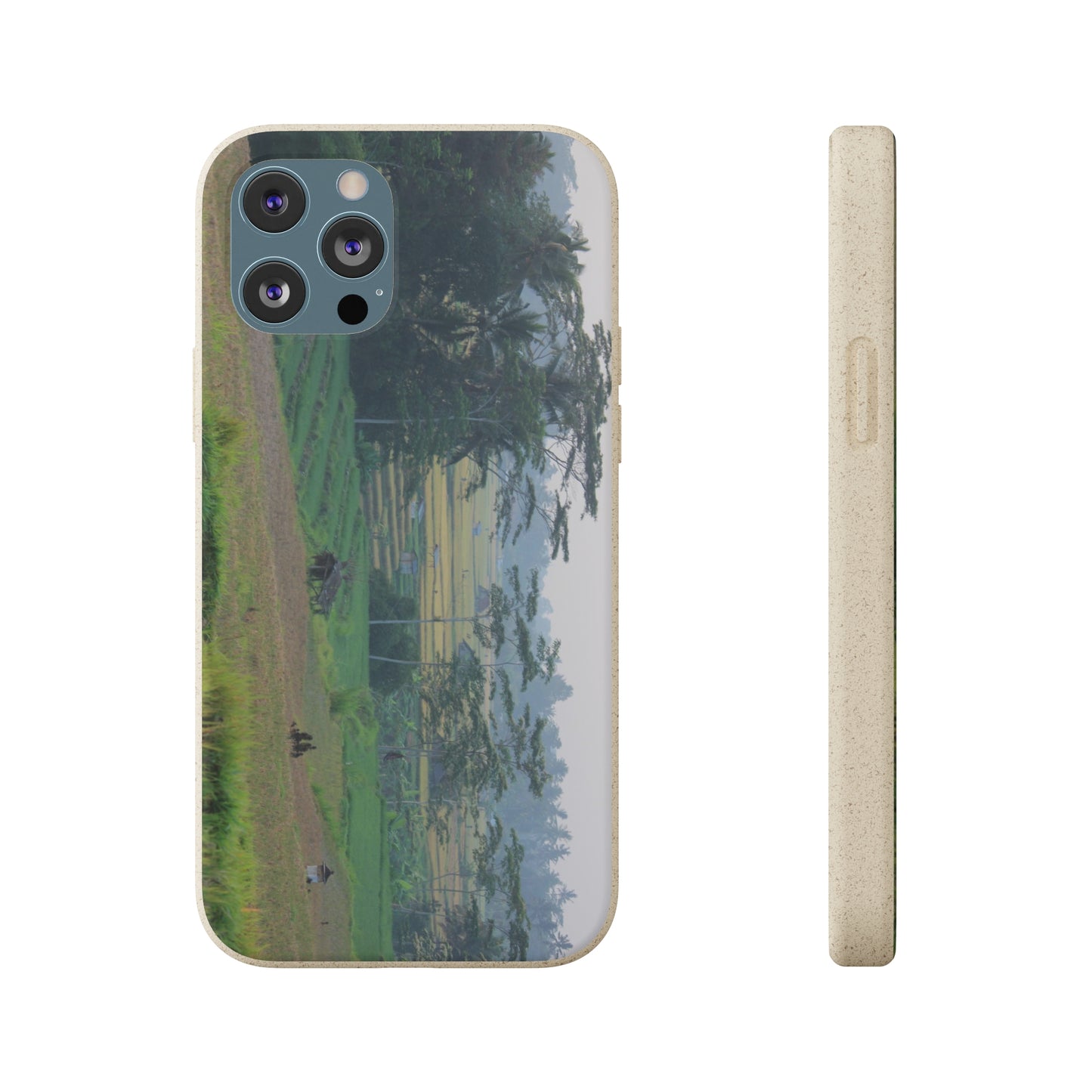 Rice fields - Biodegradable Cases
