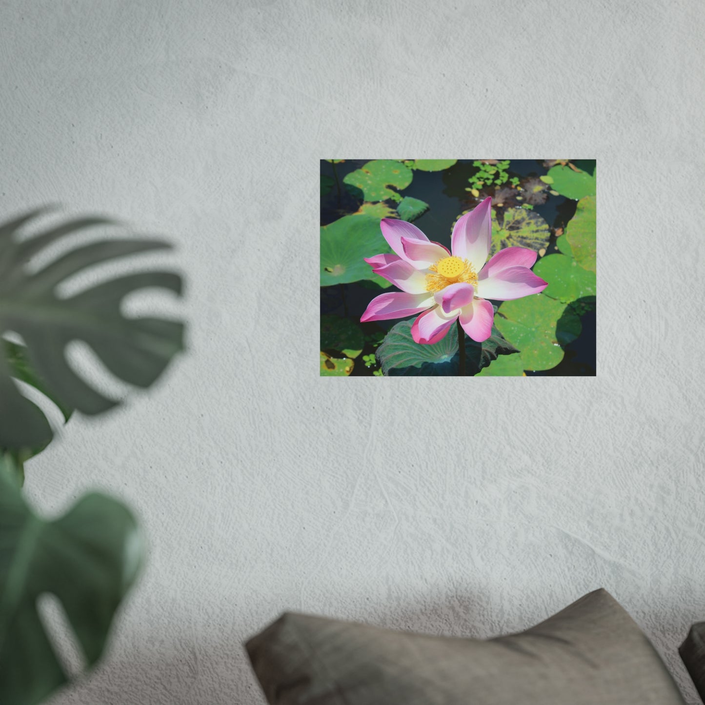 Pink lotus - Fine Art Posters