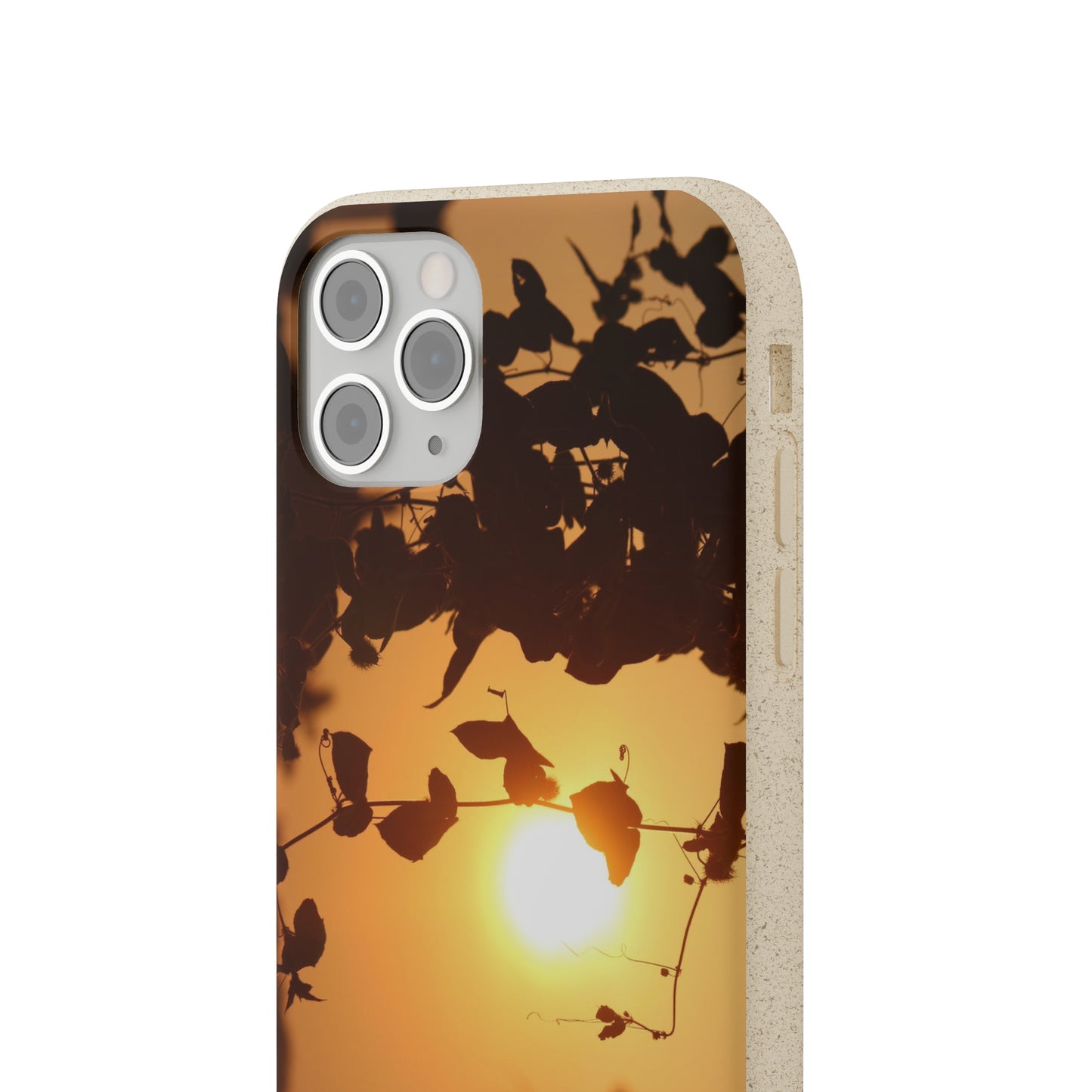 Sunset - Biodegradable Cases