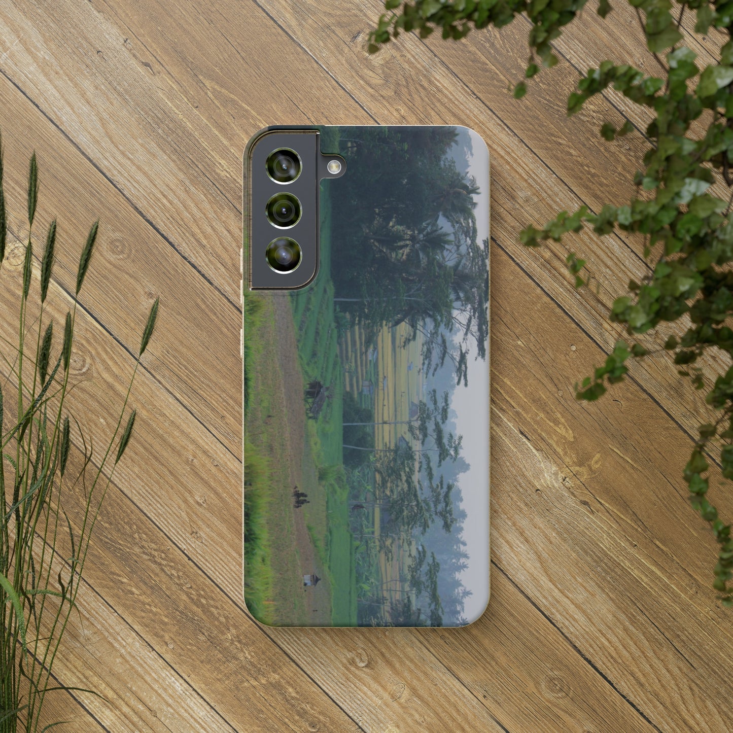 Rice fields - Biodegradable Cases