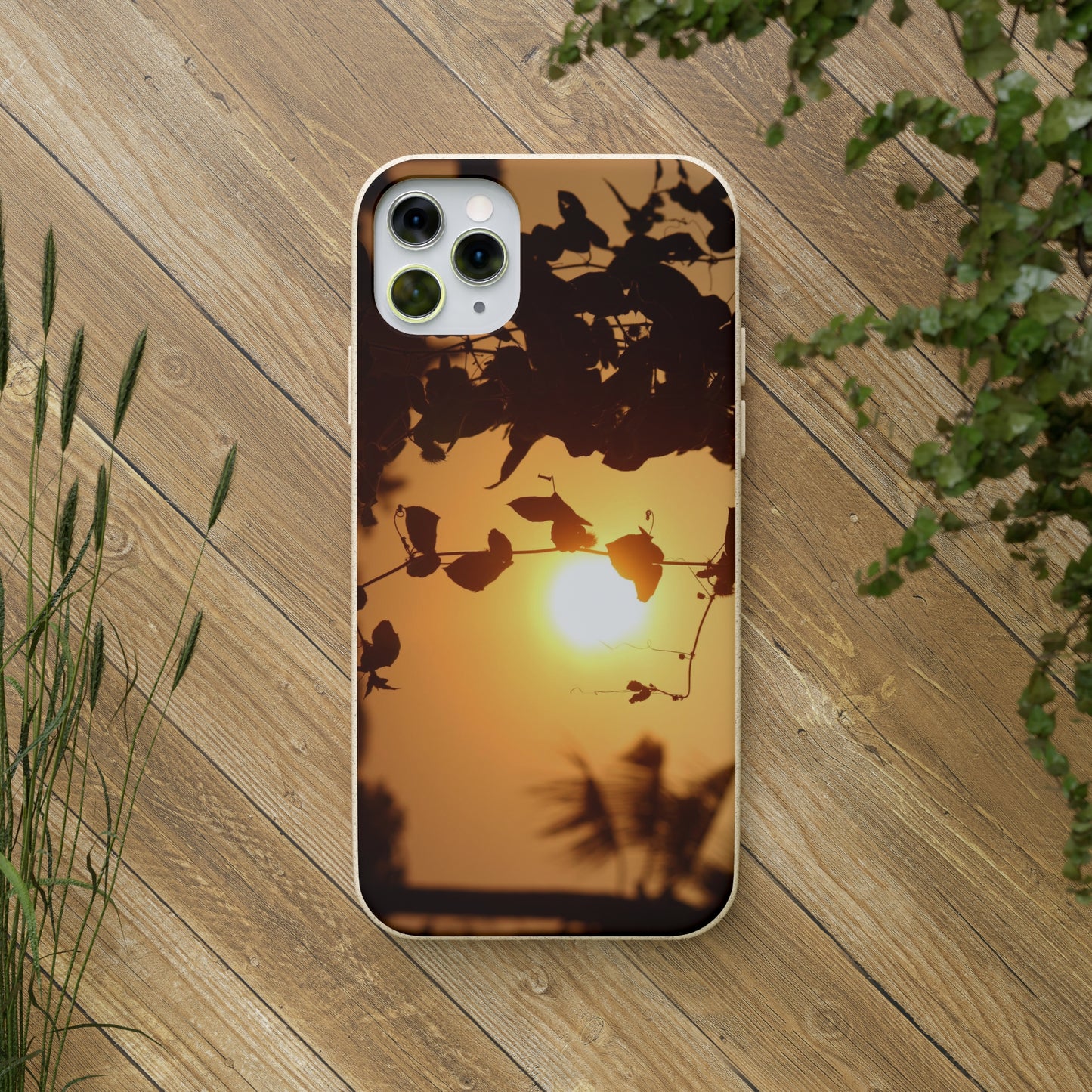 Sunset - Biodegradable Cases