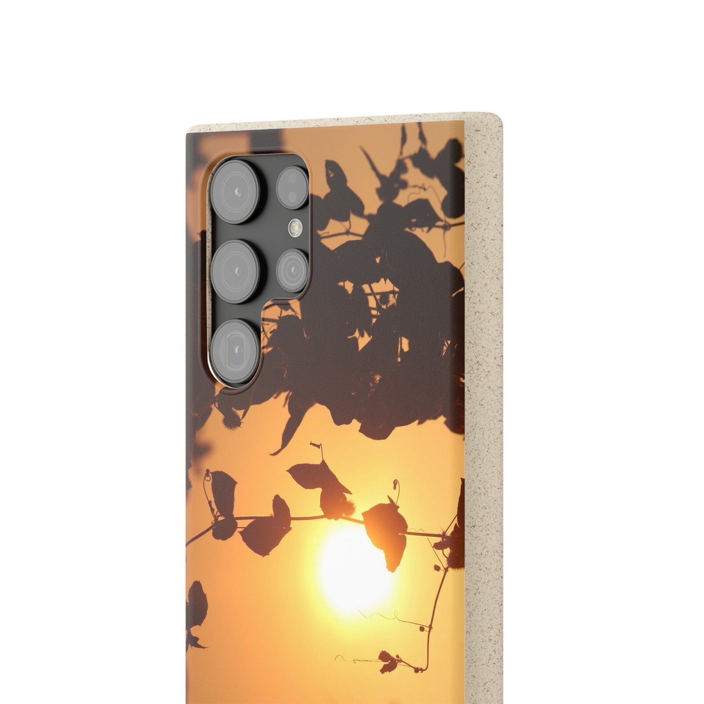 Sunset - Biodegradable Cases