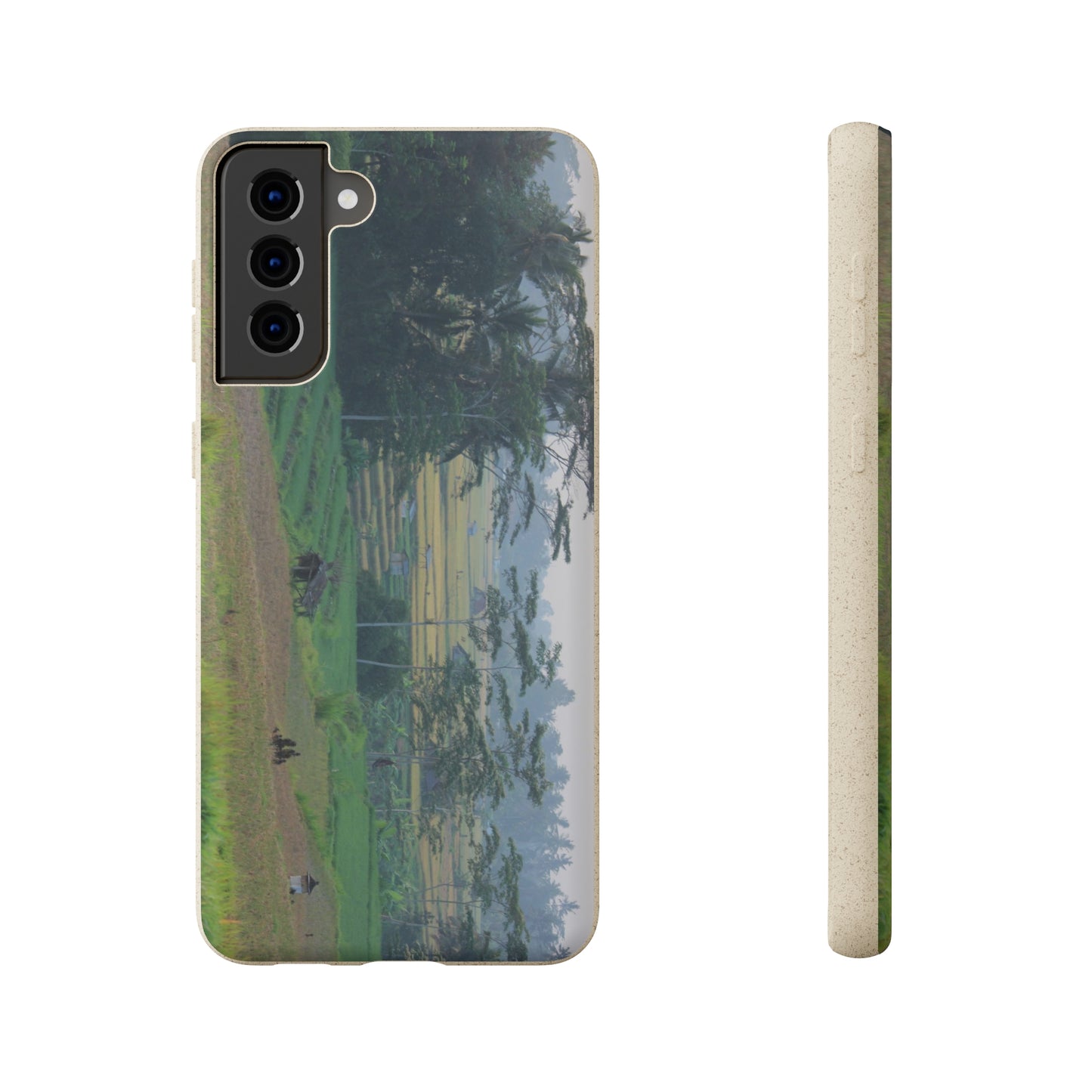 Rice fields - Biodegradable Cases