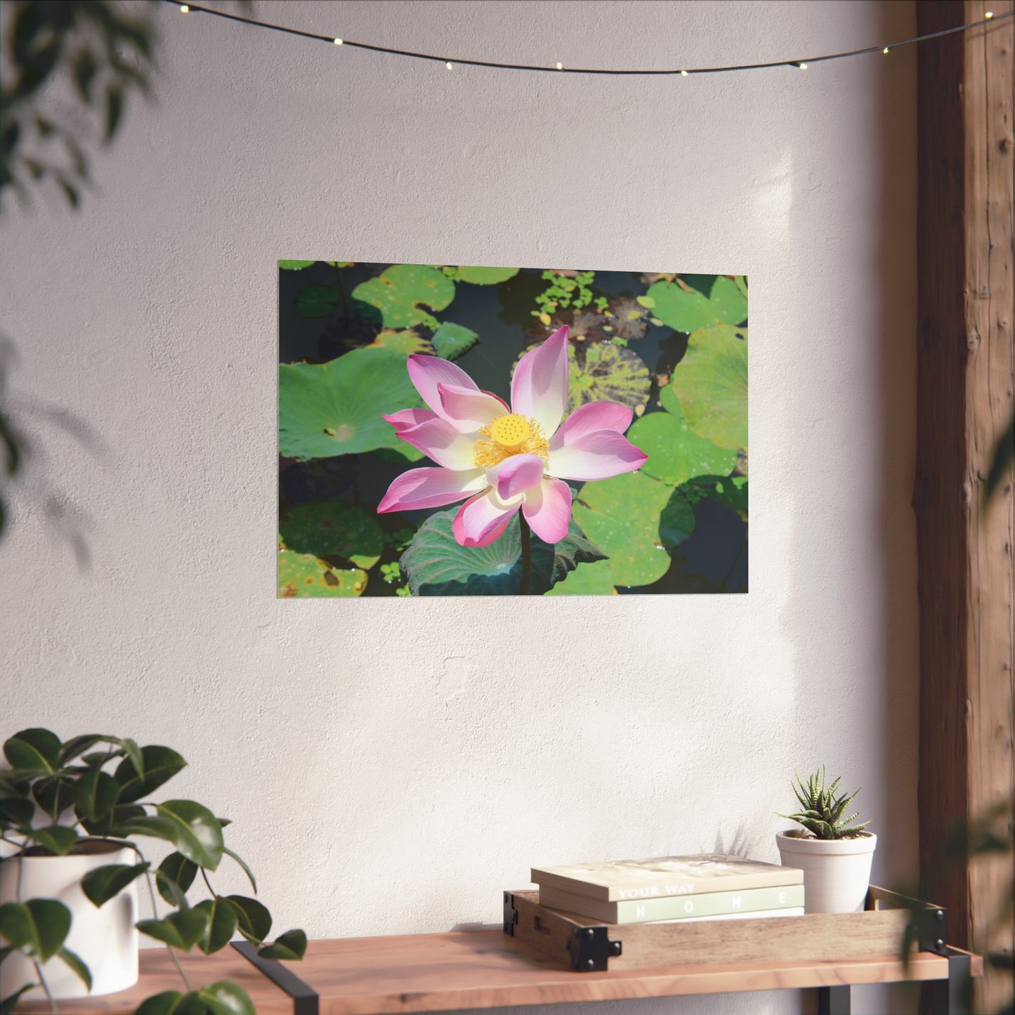 Pink lotus - Fine Art Posters