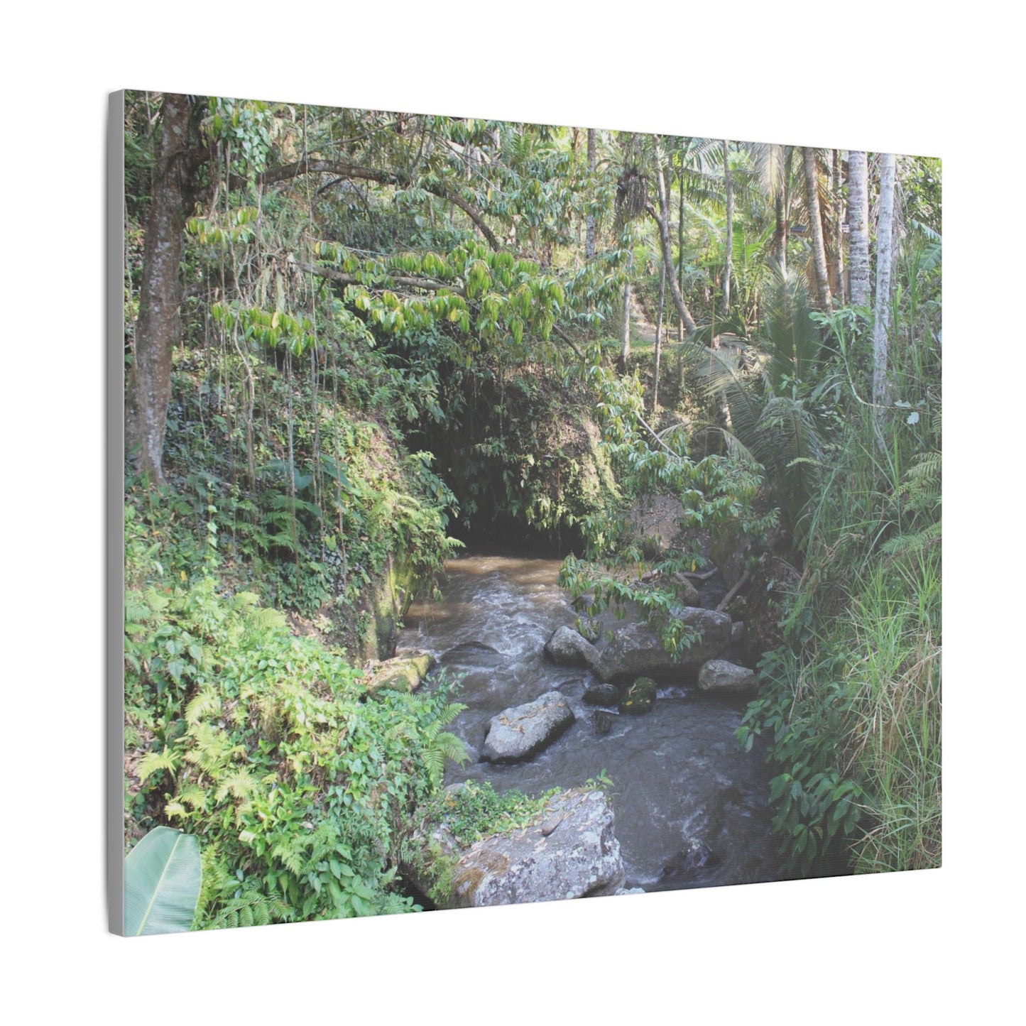 Rainforest Stream - Matte Canvas, Stretched, 0.75"