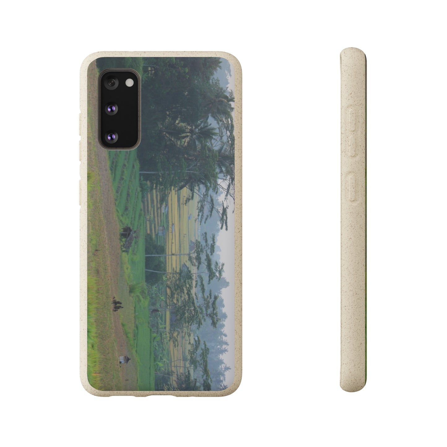 Rice fields - Biodegradable Cases