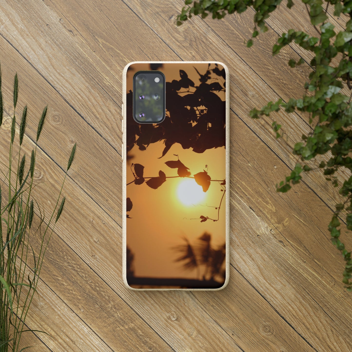 Sunset - Biodegradable Cases