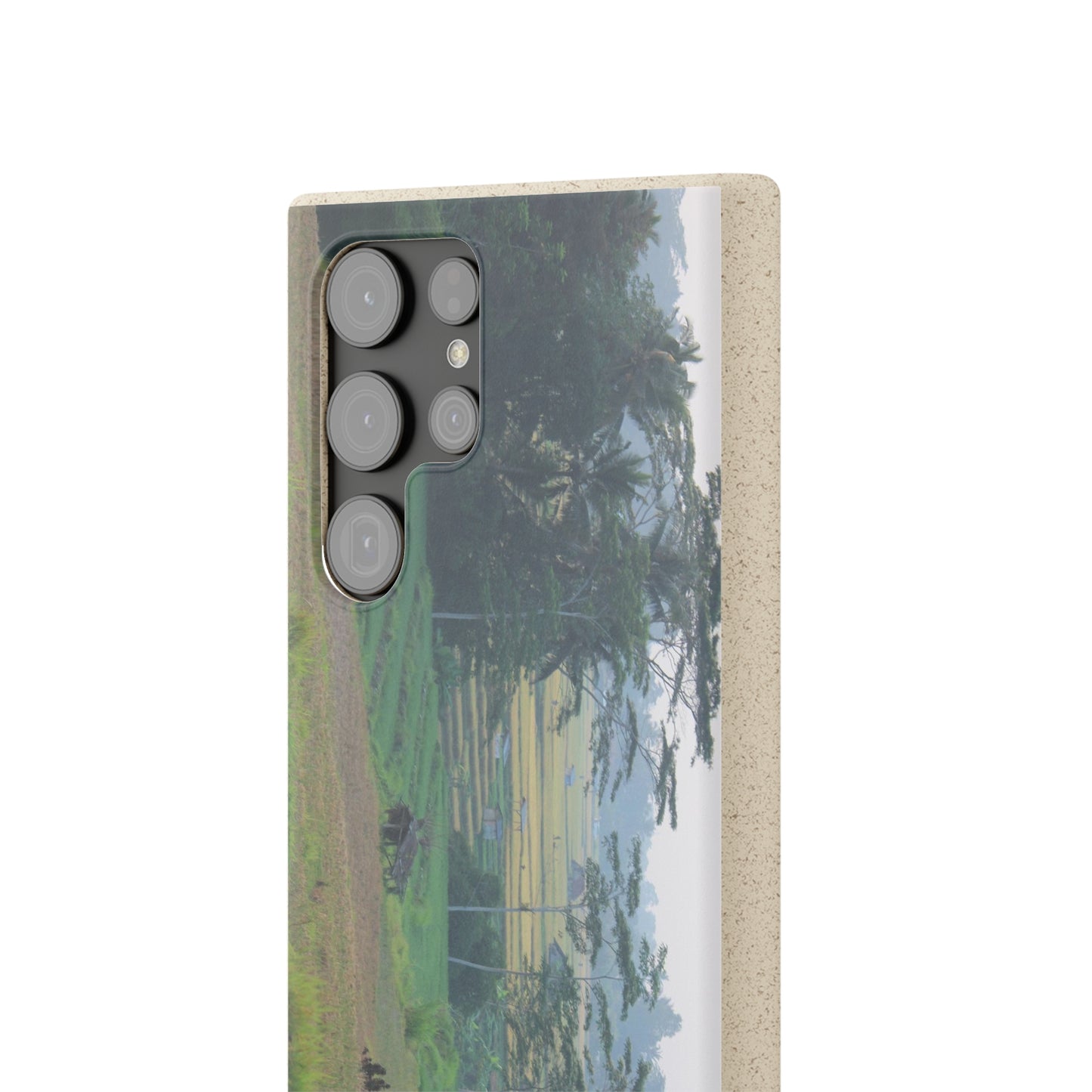Rice fields - Biodegradable Cases