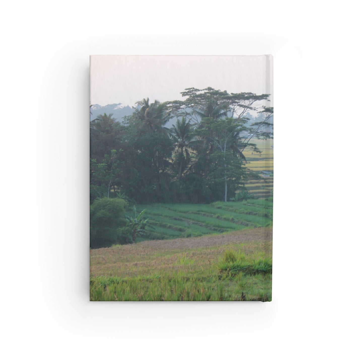 Rice fields - Journal - Blank pages