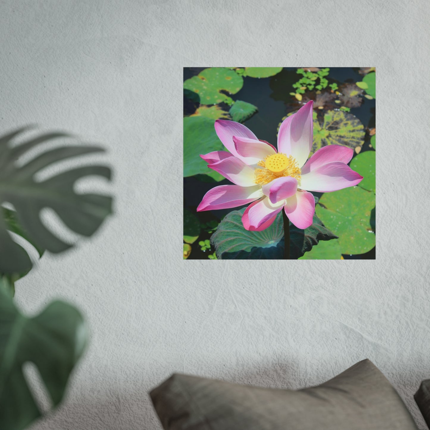 Pink lotus - Fine Art Posters