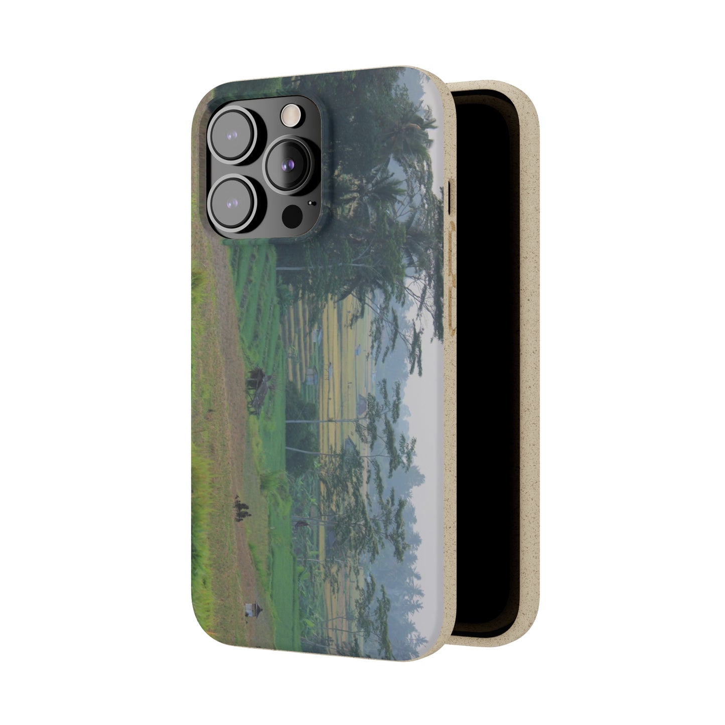 Rice fields - Biodegradable Cases