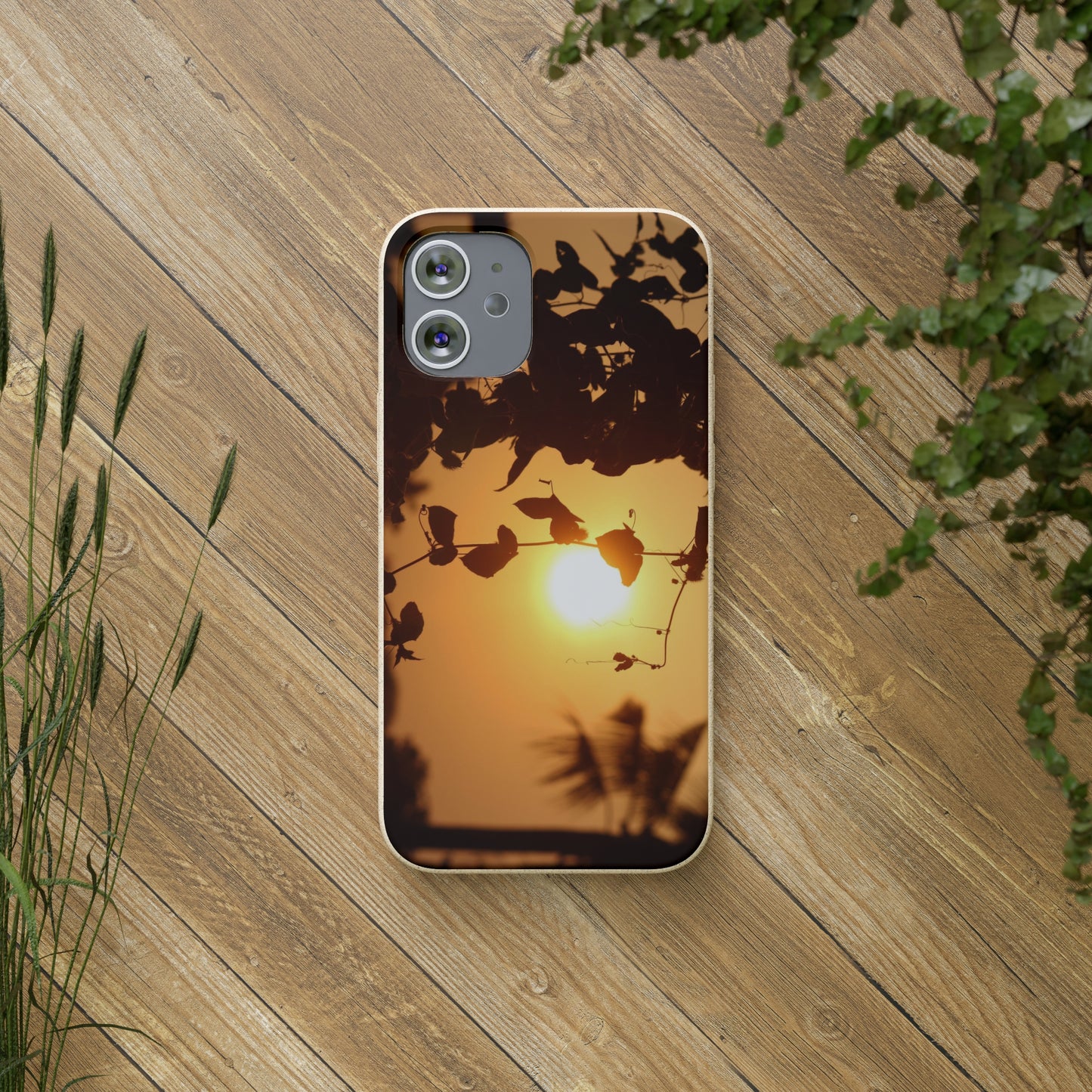 Sunset - Biodegradable Cases
