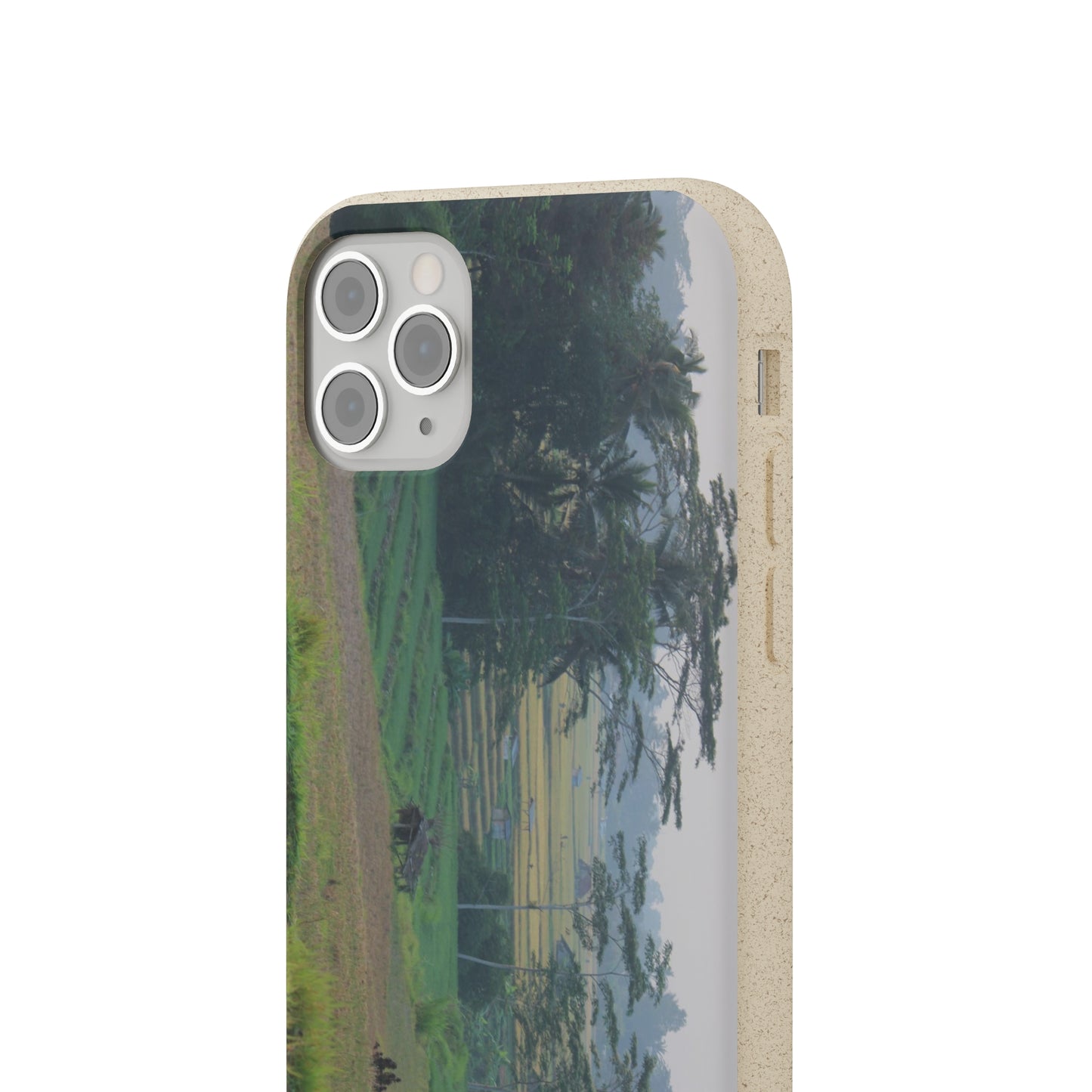 Rice fields - Biodegradable Cases