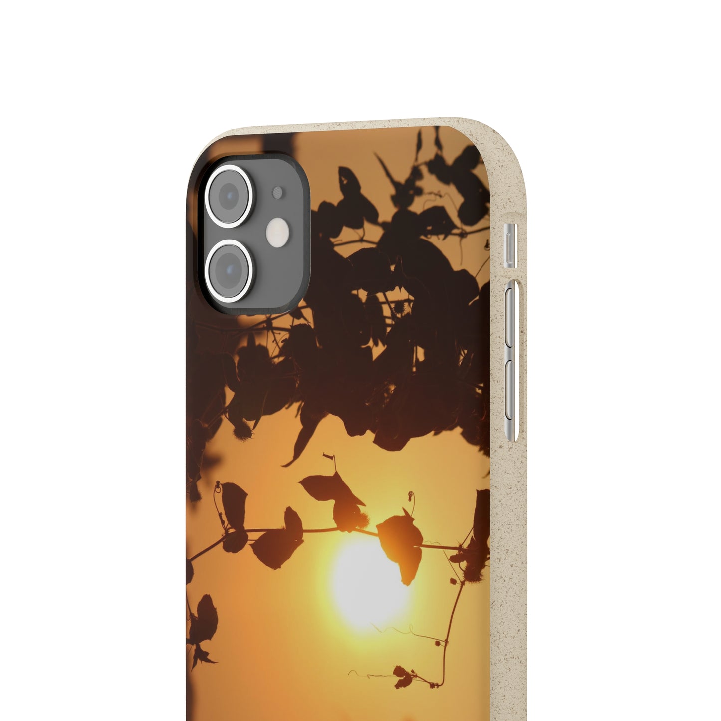 Sunset - Biodegradable Cases