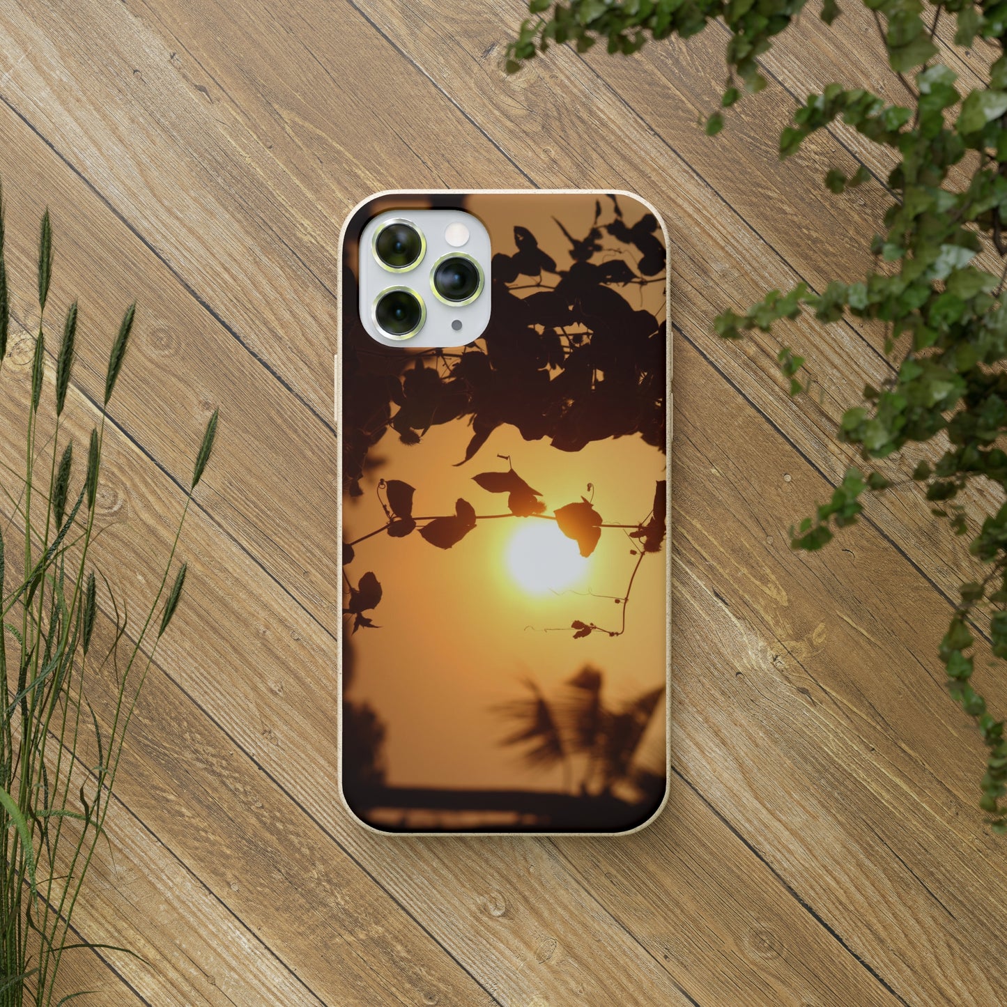 Sunset - Biodegradable Cases