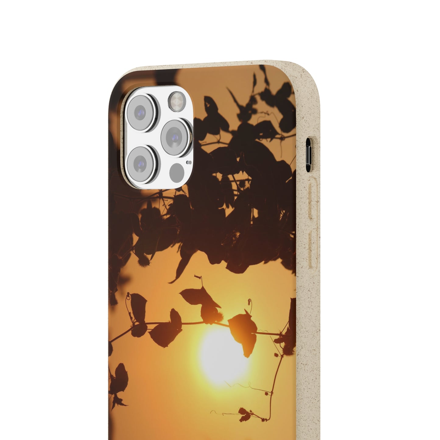 Sunset - Biodegradable Cases