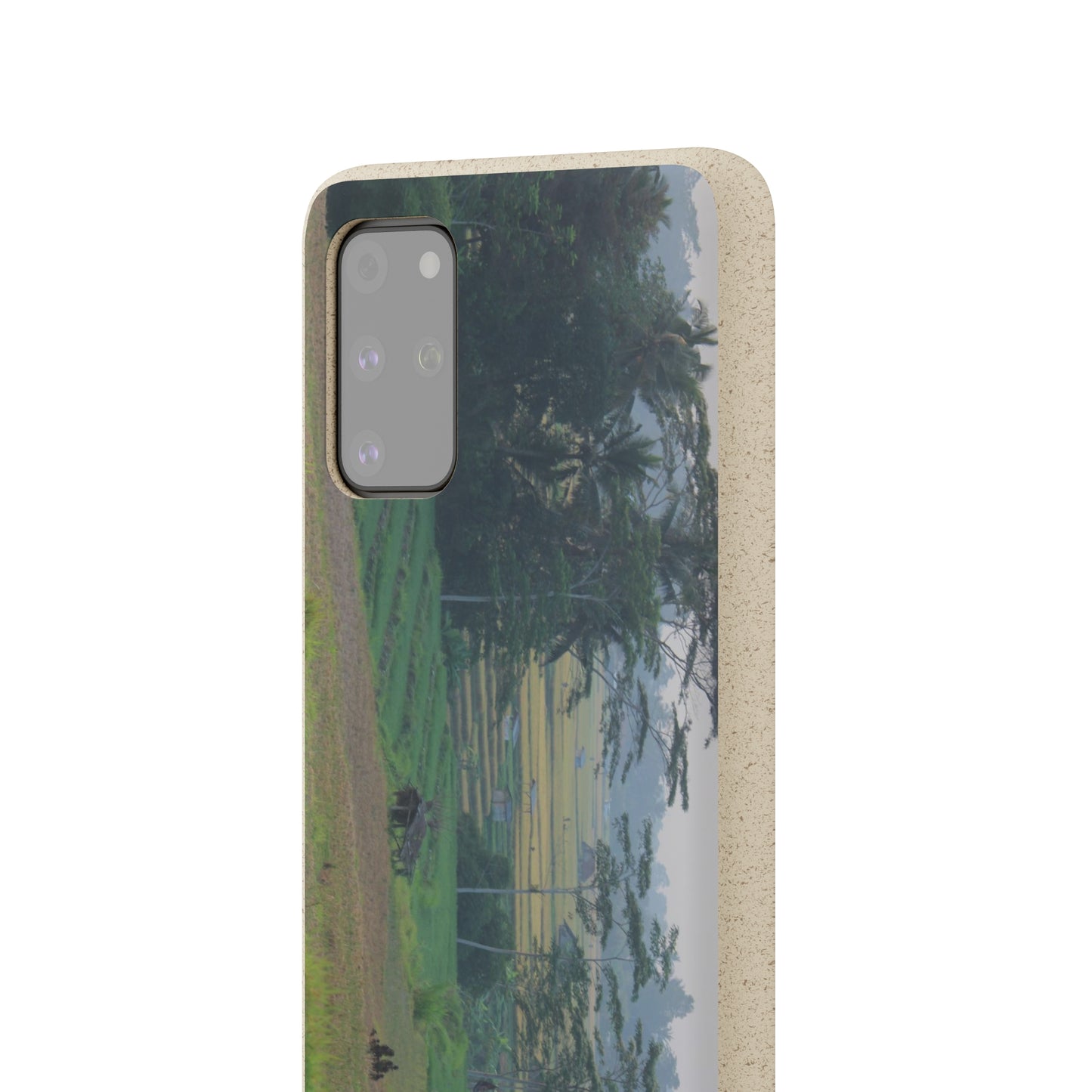 Rice fields - Biodegradable Cases
