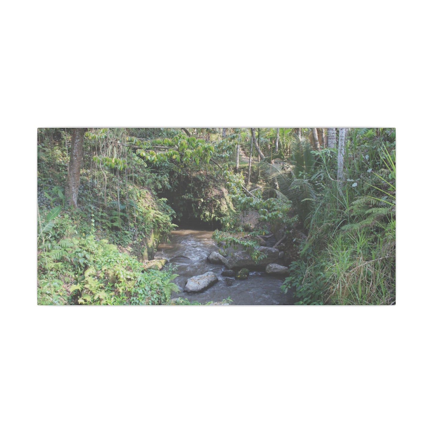 Rainforest Stream - Matte Canvas, Stretched, 0.75"