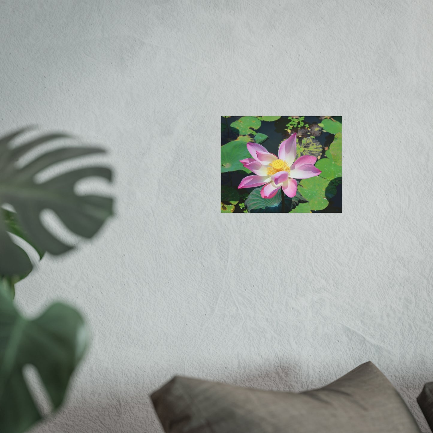 Pink lotus - Fine Art Posters