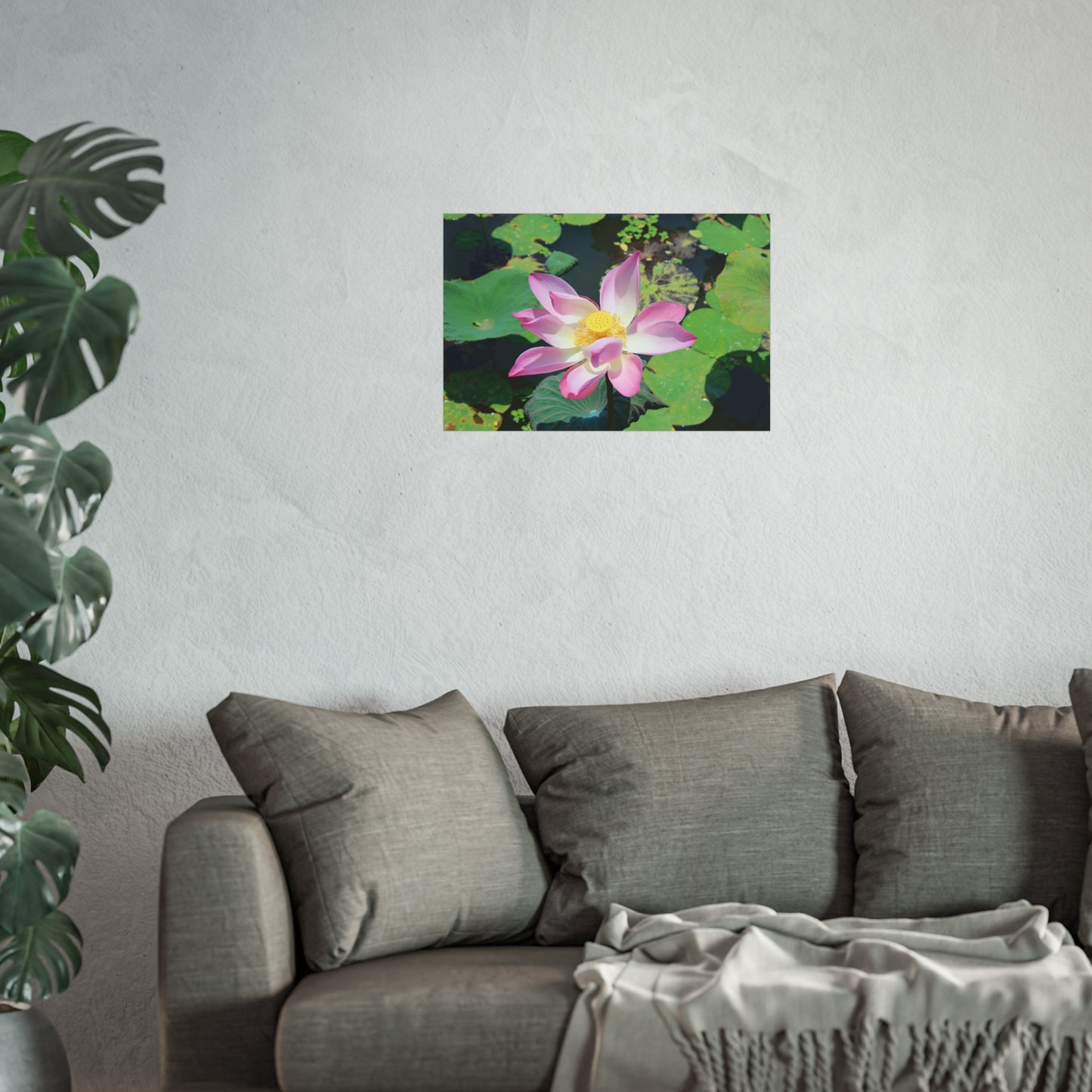 Pink lotus - Fine Art Posters