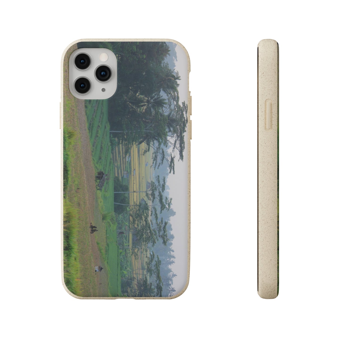 Rice fields - Biodegradable Cases