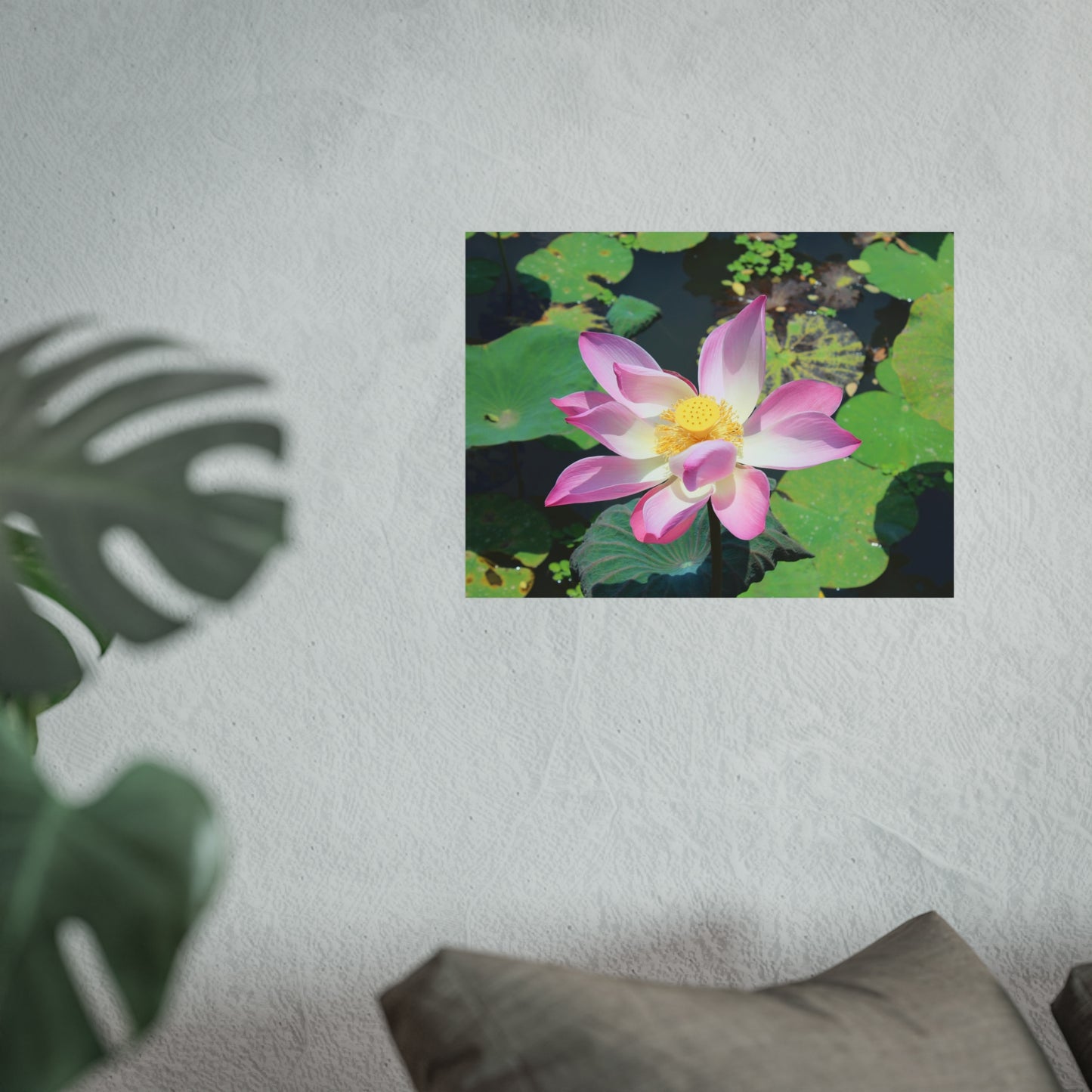 Pink lotus - Fine Art Posters