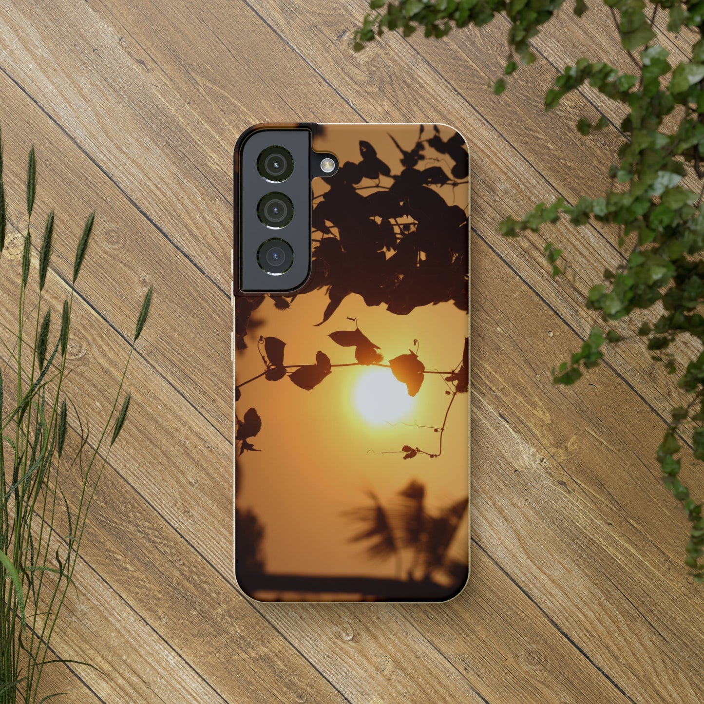 Sunset - Biodegradable Cases