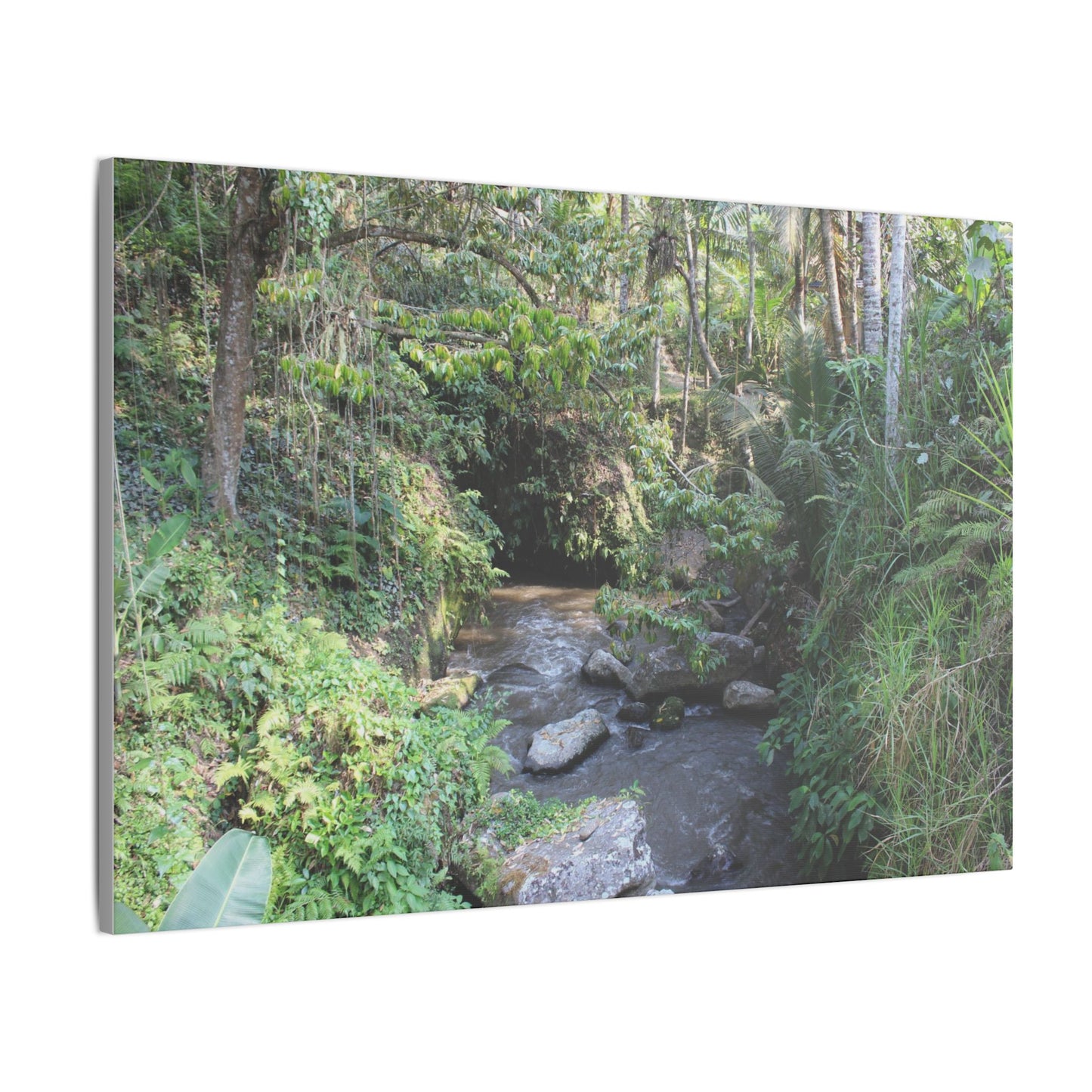 Rainforest Stream - Matte Canvas, Stretched, 0.75"