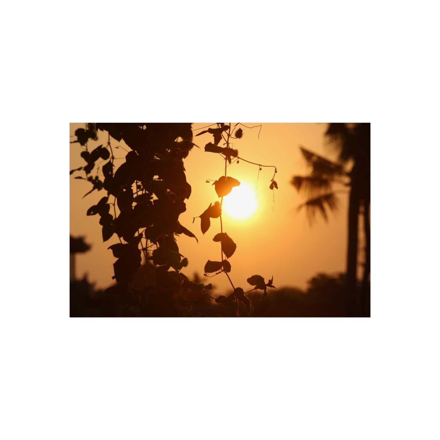 Ocean sunset - Fine Art Posters