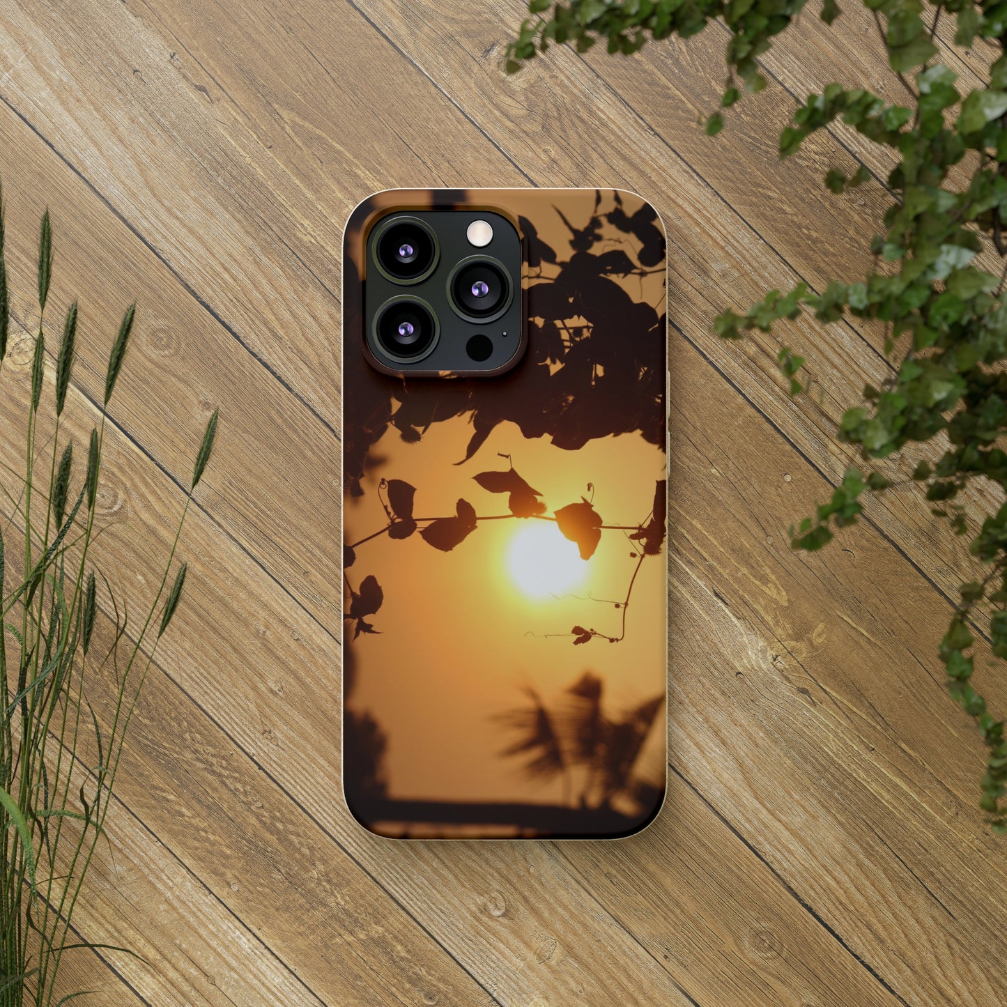 Sunset - Biodegradable Cases