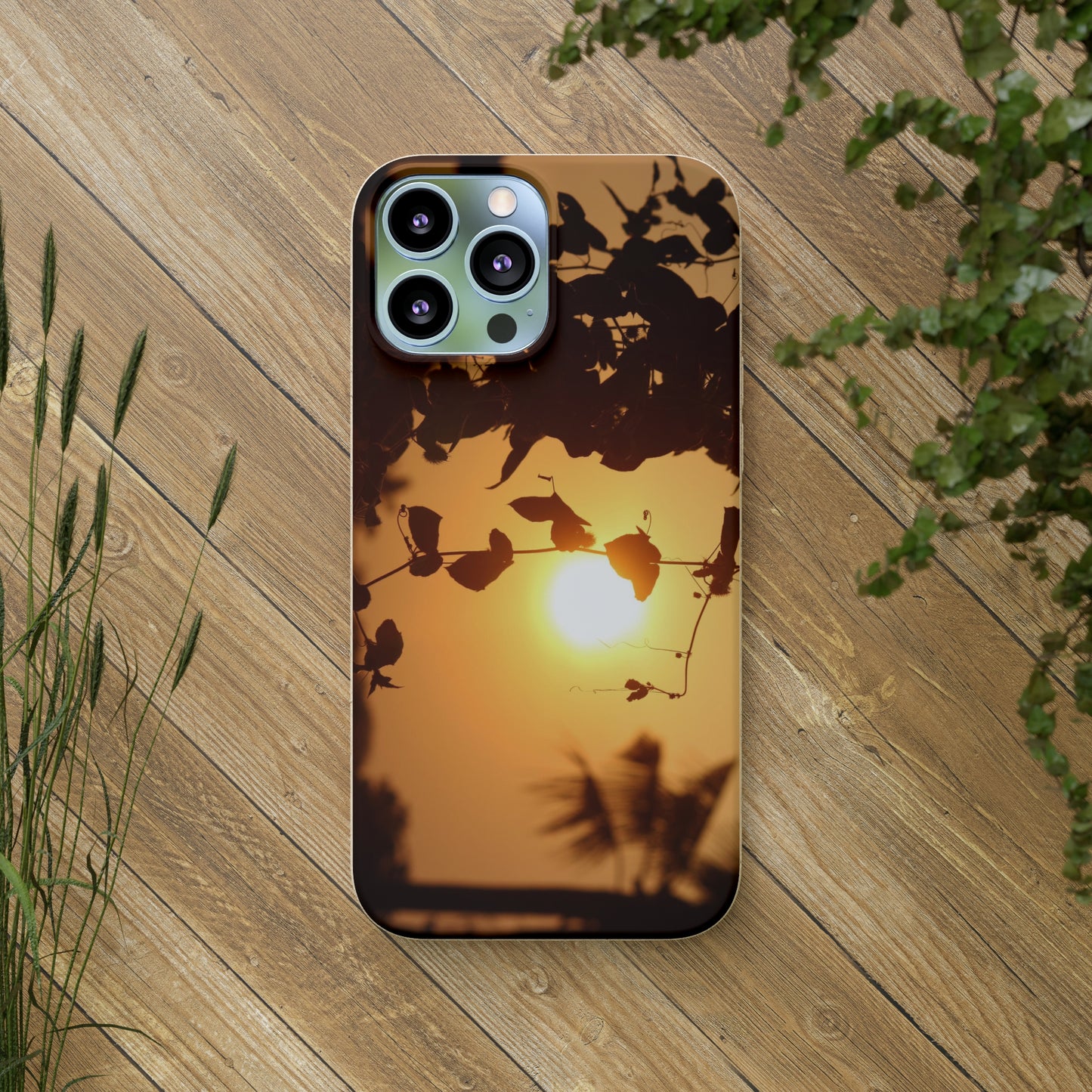 Sunset - Biodegradable Cases