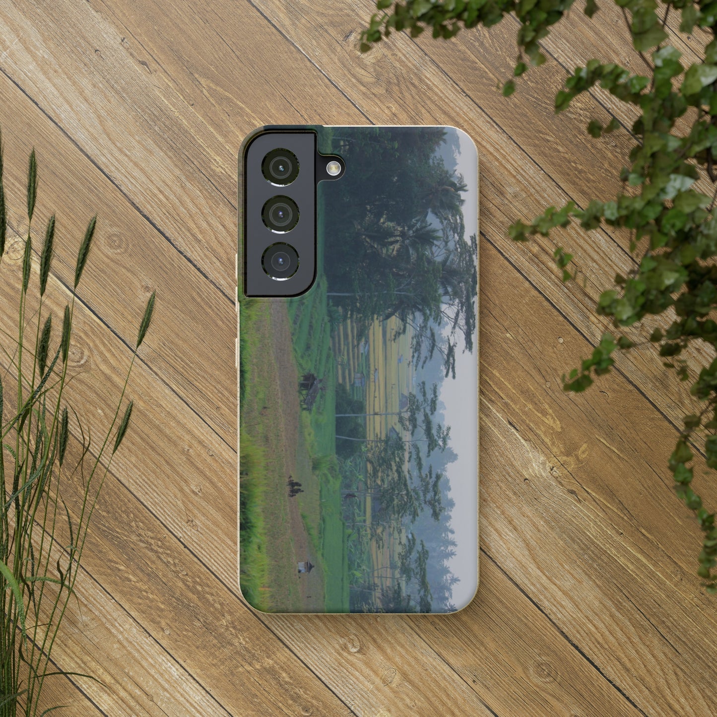 Rice fields - Biodegradable Cases