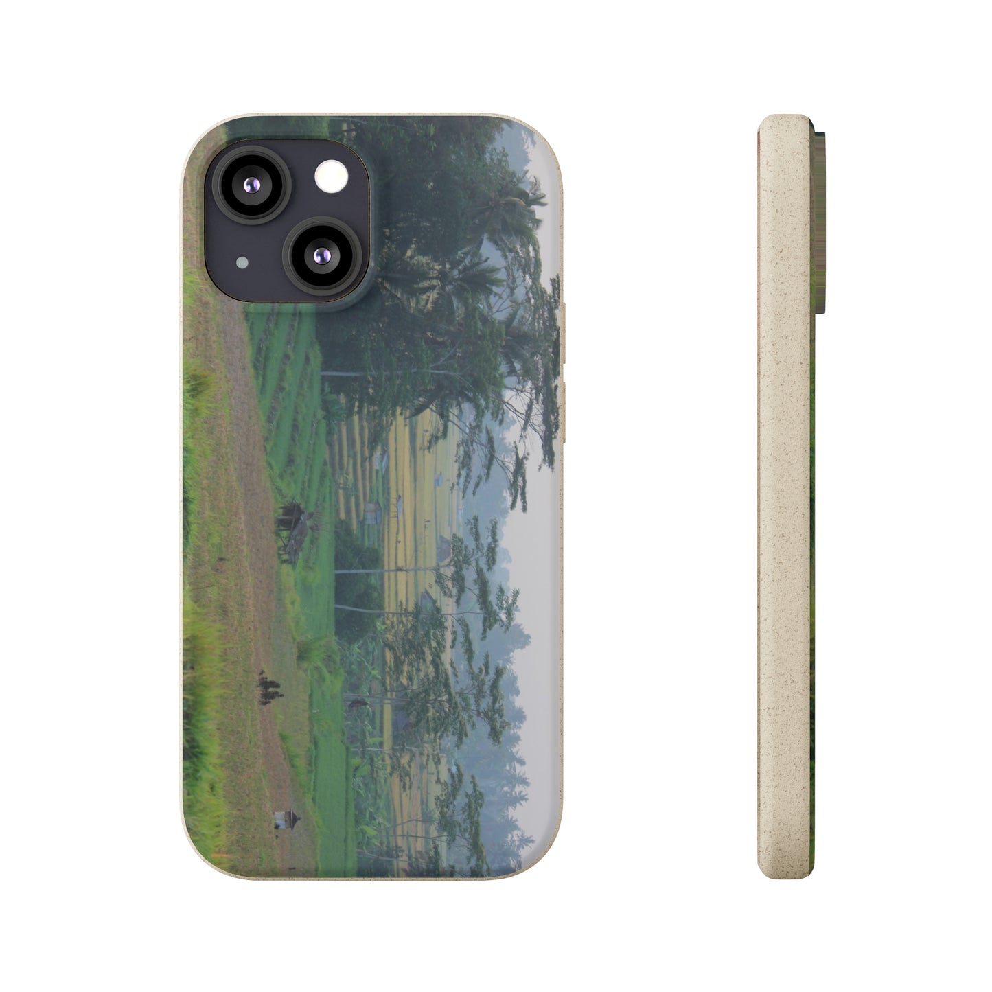 Rice fields - Biodegradable Cases