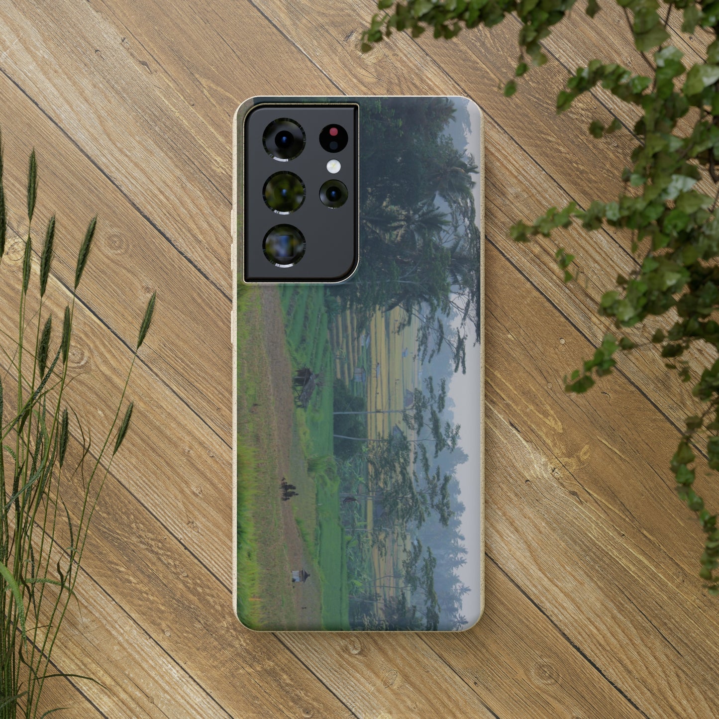 Rice fields - Biodegradable Cases