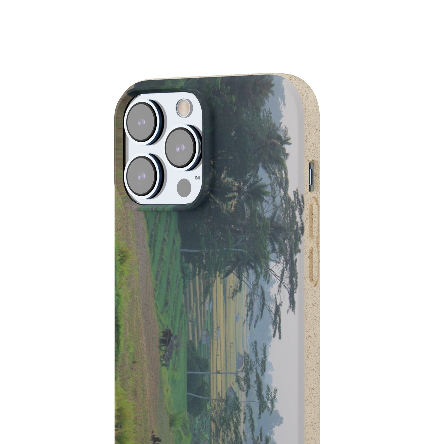 Rice fields - Biodegradable Cases