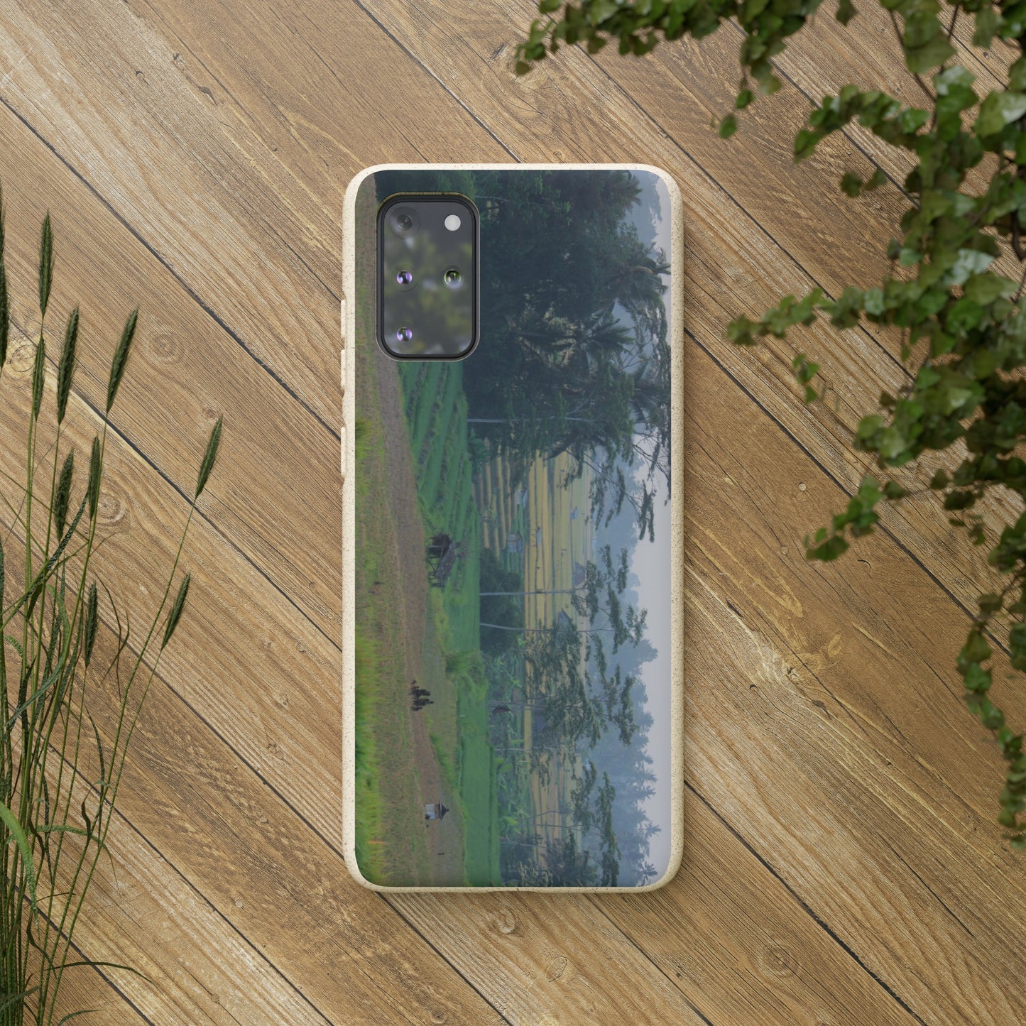 Rice fields - Biodegradable Cases