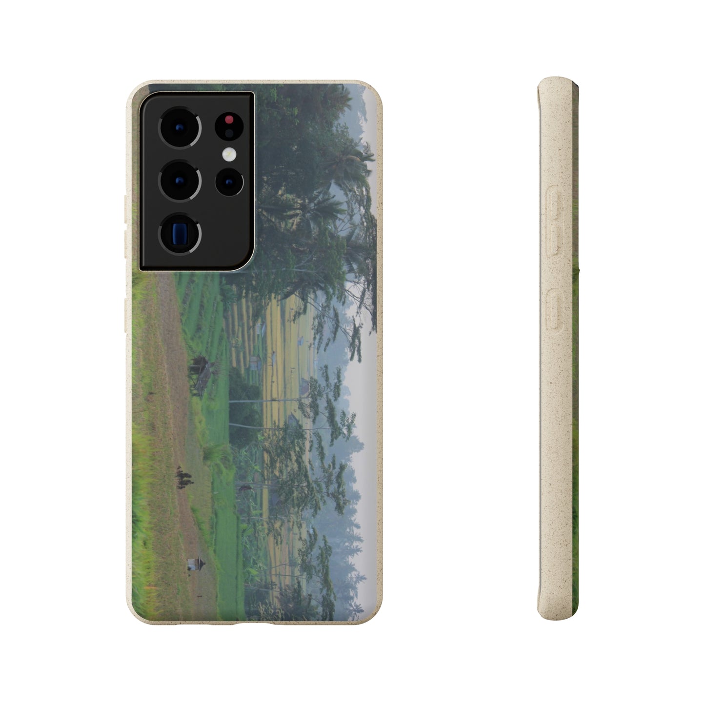 Rice fields - Biodegradable Cases