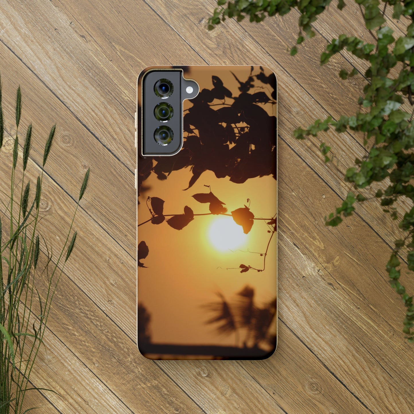 Sunset - Biodegradable Cases