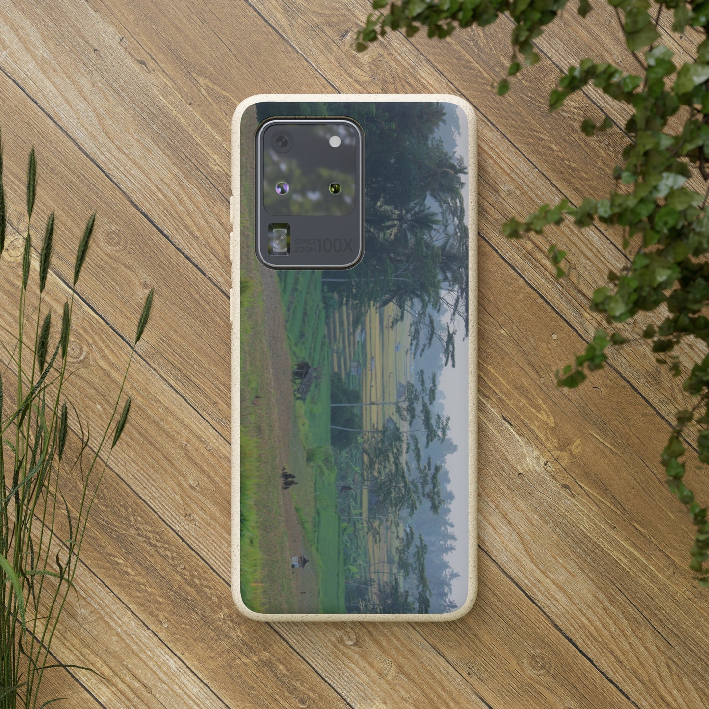 Rice fields - Biodegradable Cases