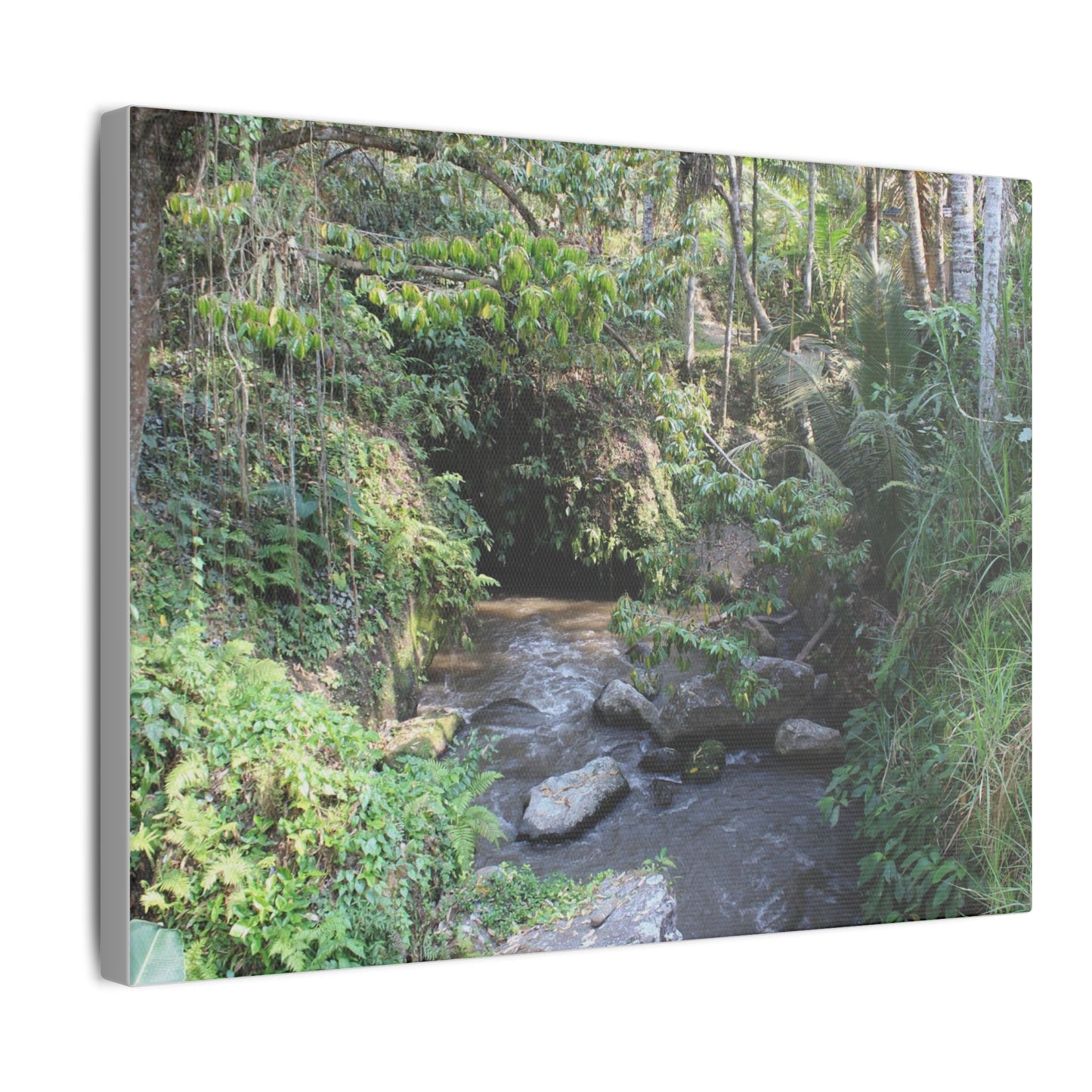 Rainforest Stream - Matte Canvas, Stretched, 0.75"