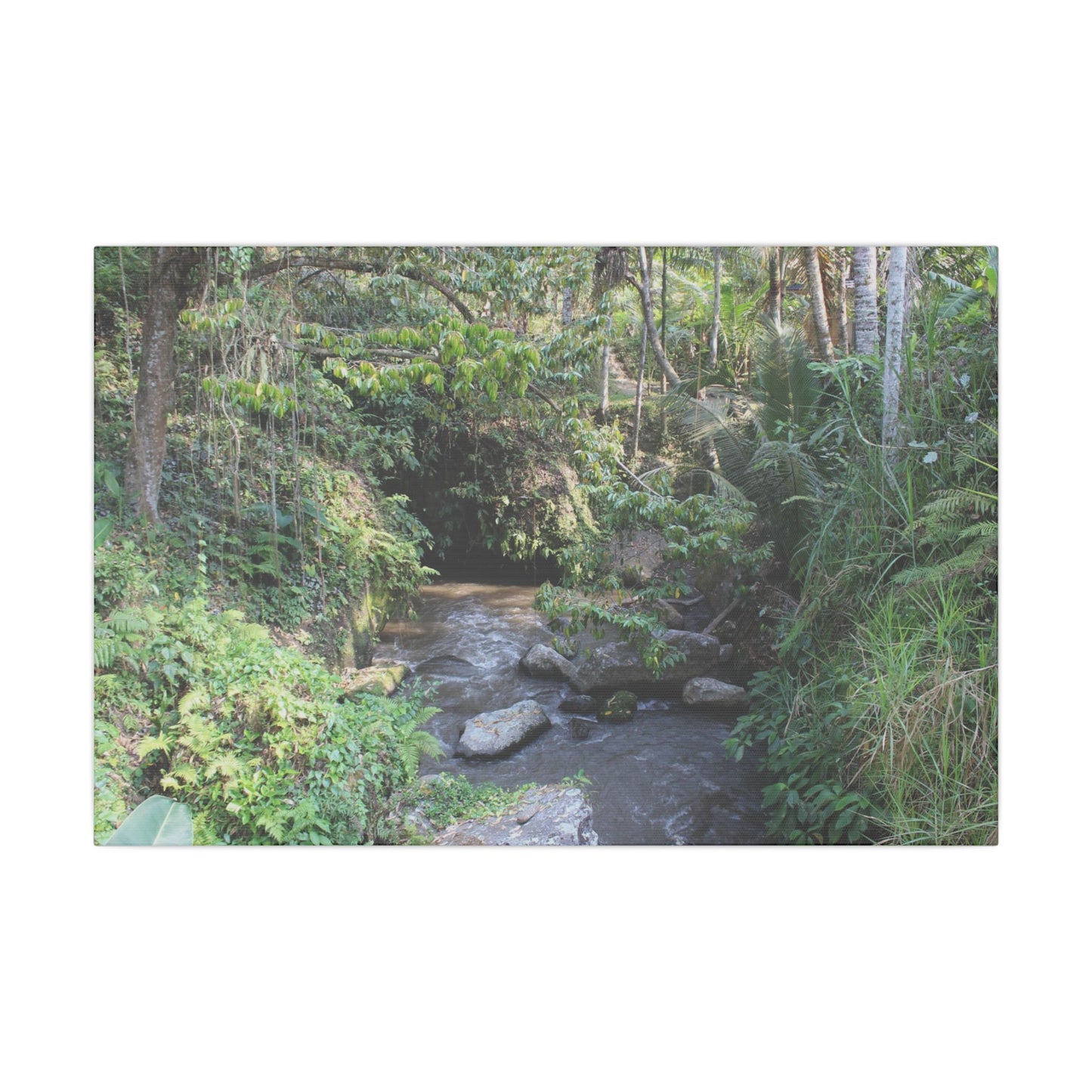 Rainforest Stream - Matte Canvas, Stretched, 0.75"