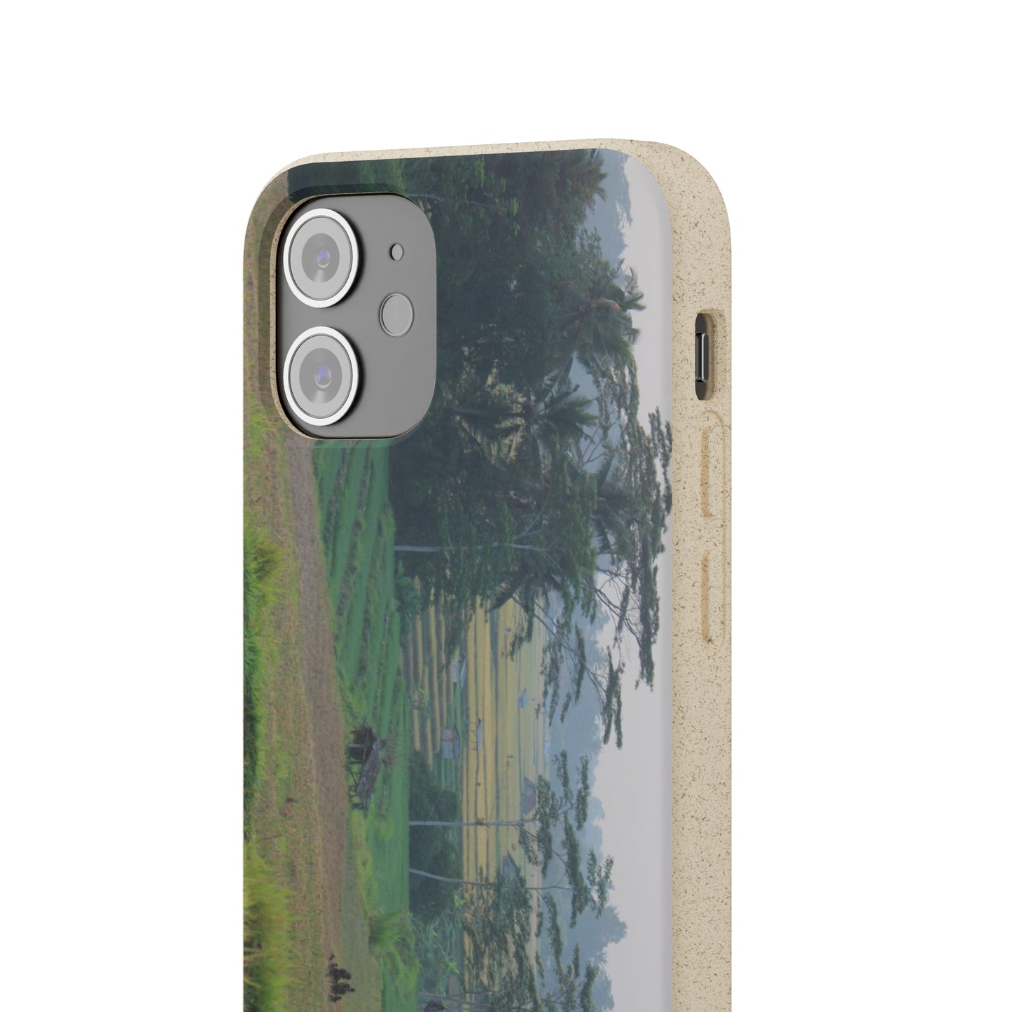 Rice fields - Biodegradable Cases