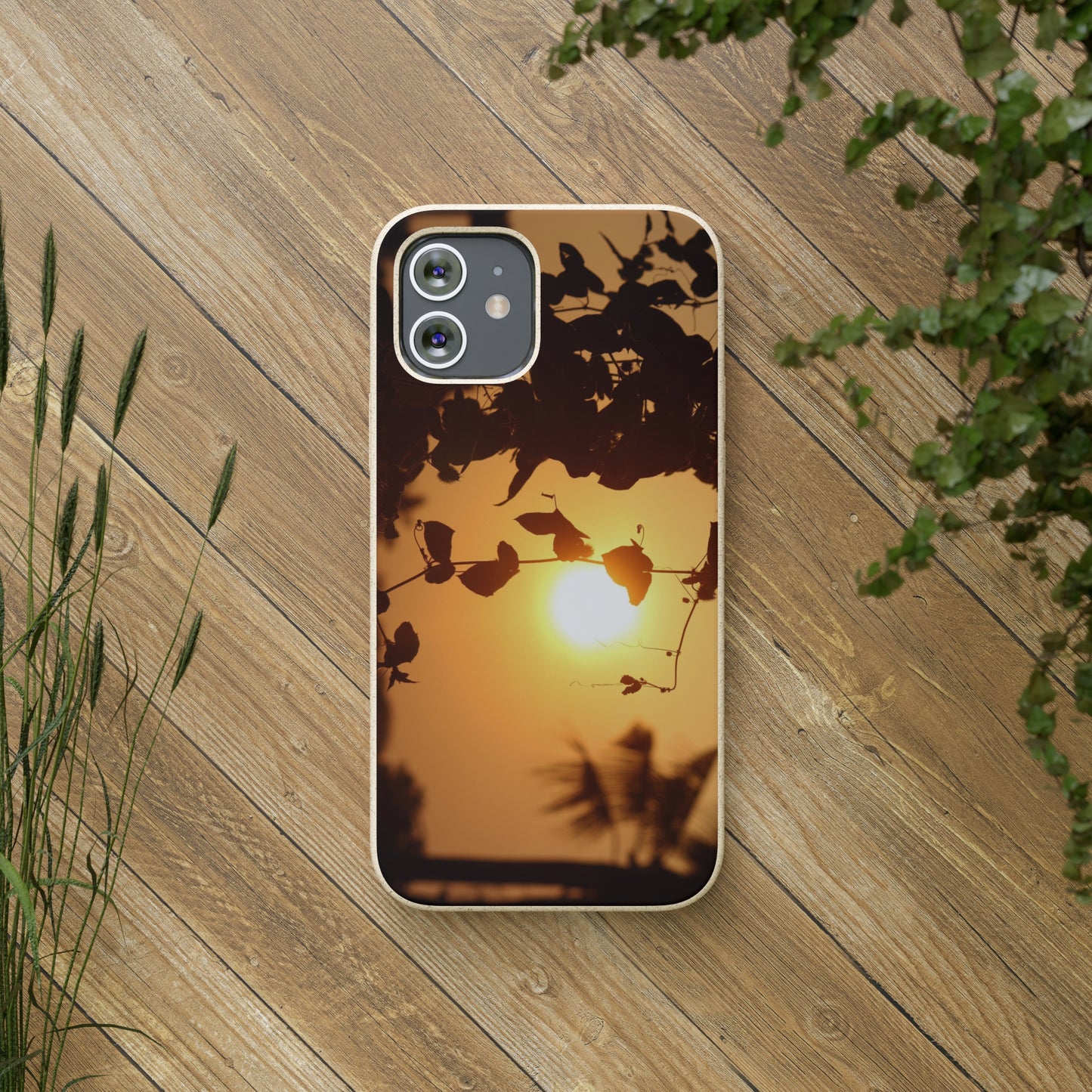 Sunset - Biodegradable Cases