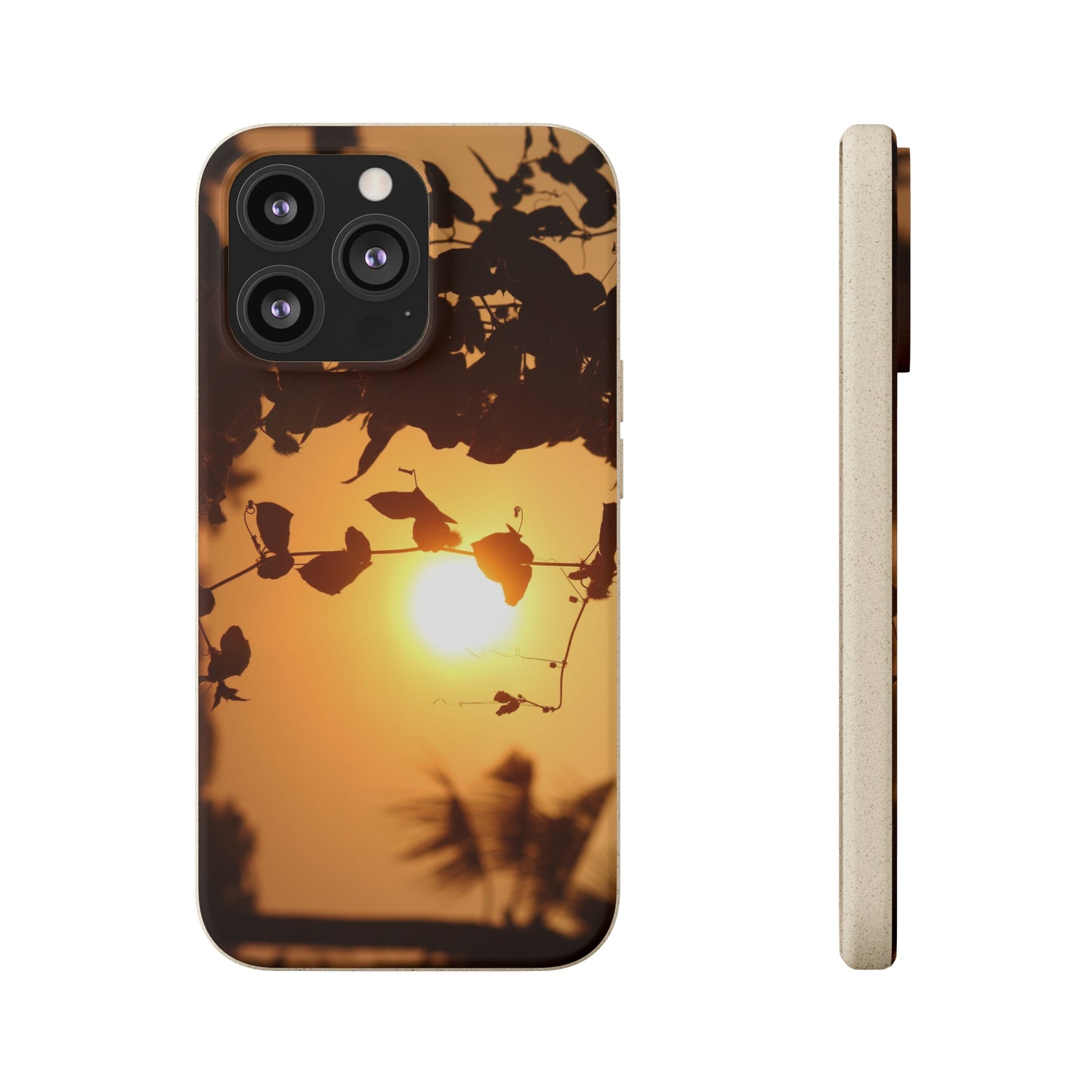 Sunset - Biodegradable Cases