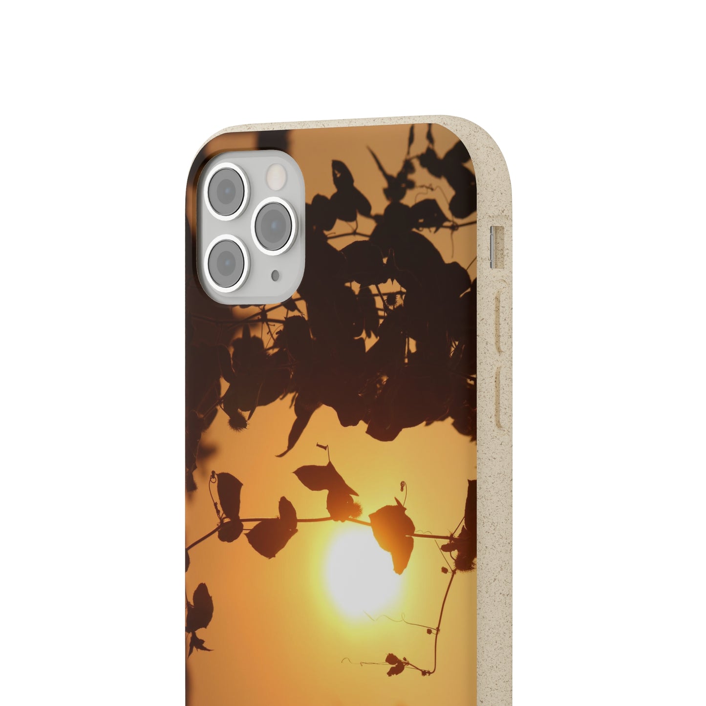 Sunset - Biodegradable Cases