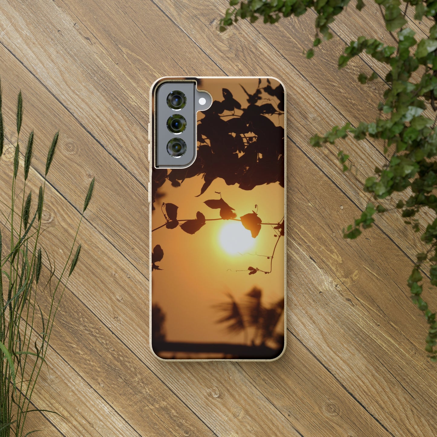 Sunset - Biodegradable Cases