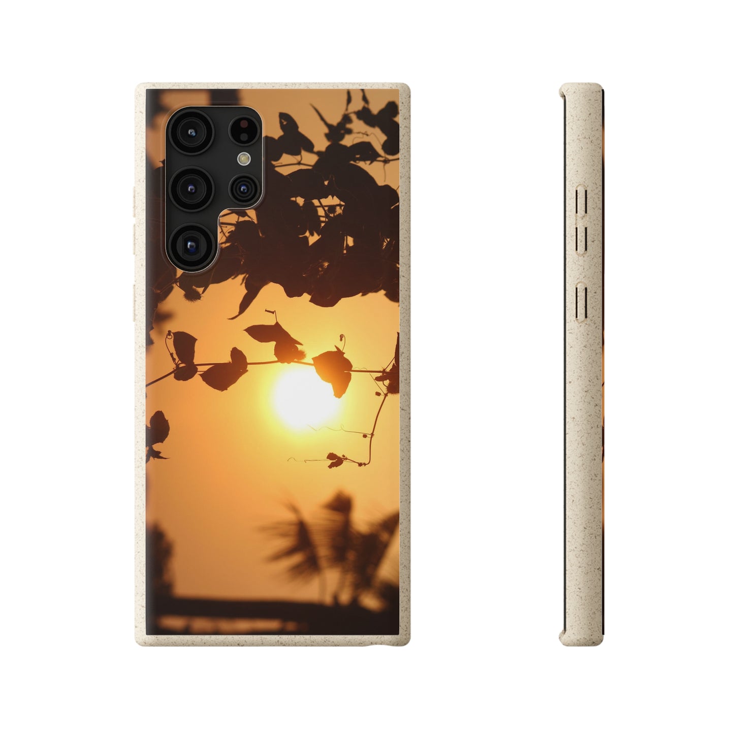 Sunset - Biodegradable Cases