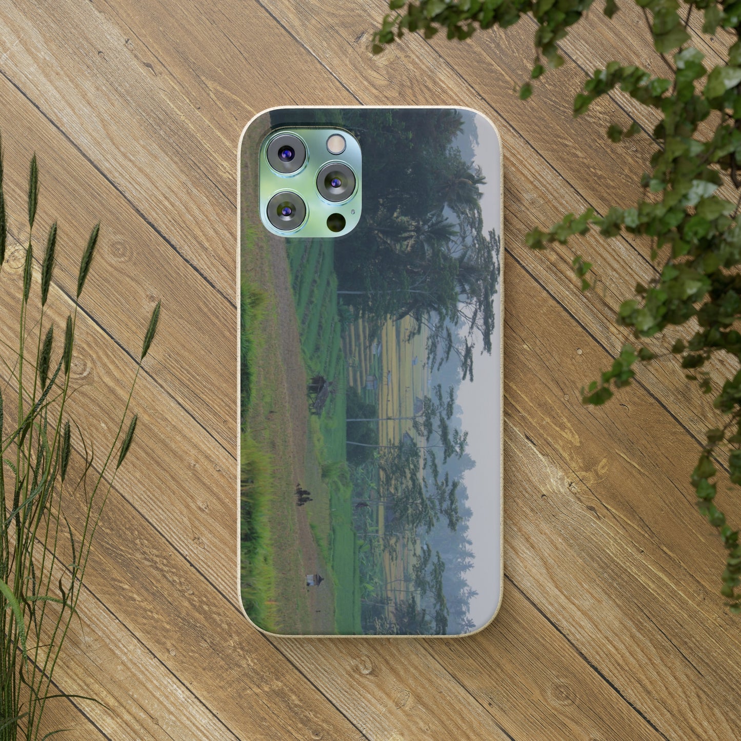 Rice fields - Biodegradable Cases