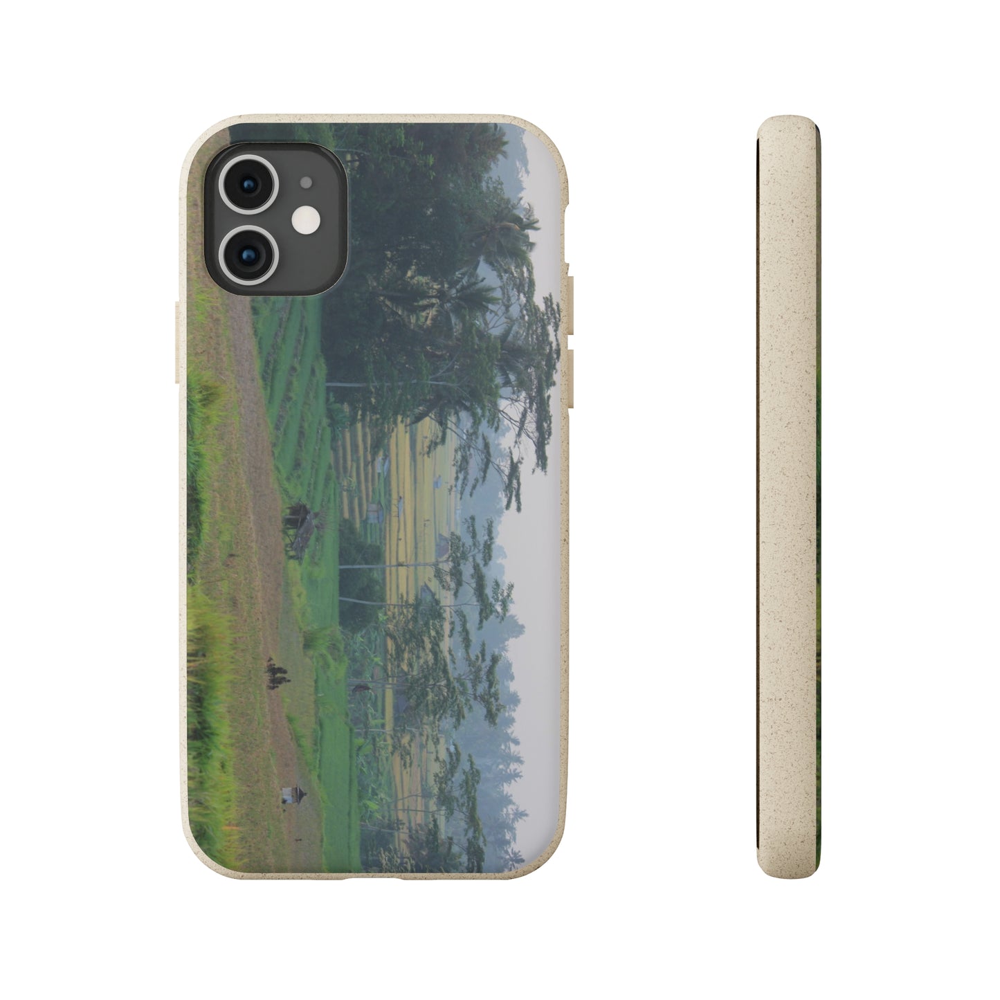 Rice fields - Biodegradable Cases
